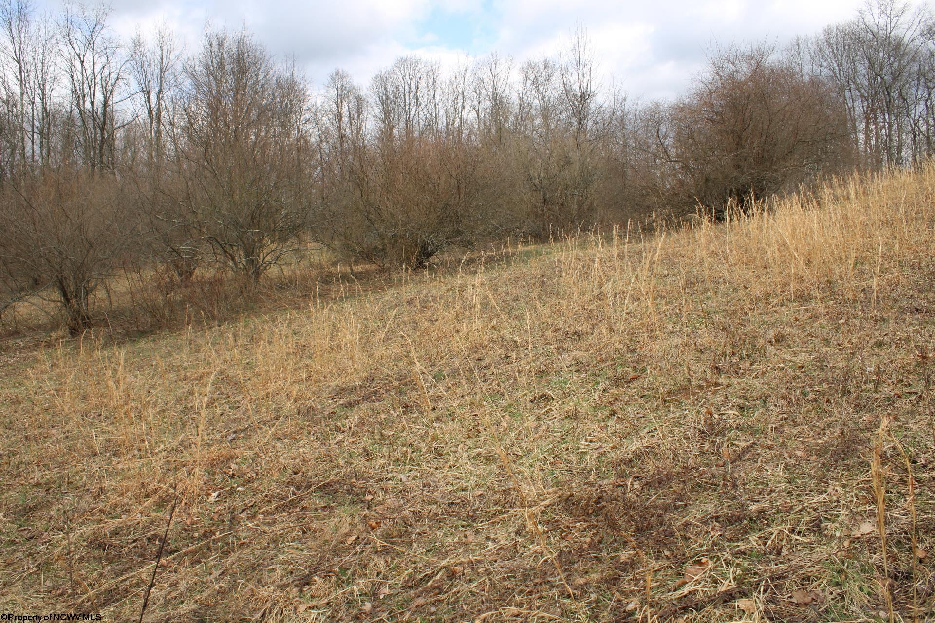 Gallery Image 11