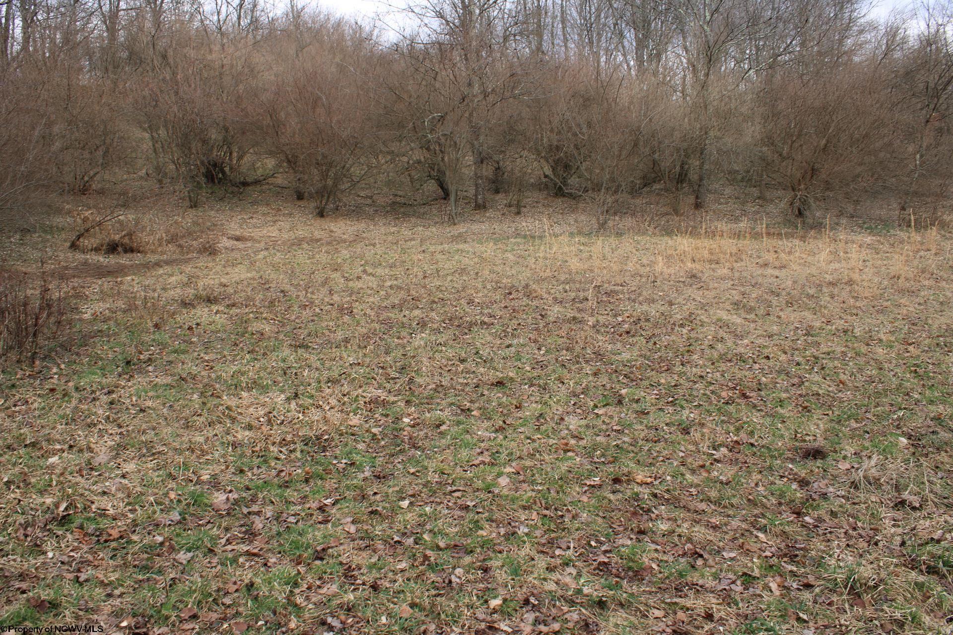 Gallery Image 12