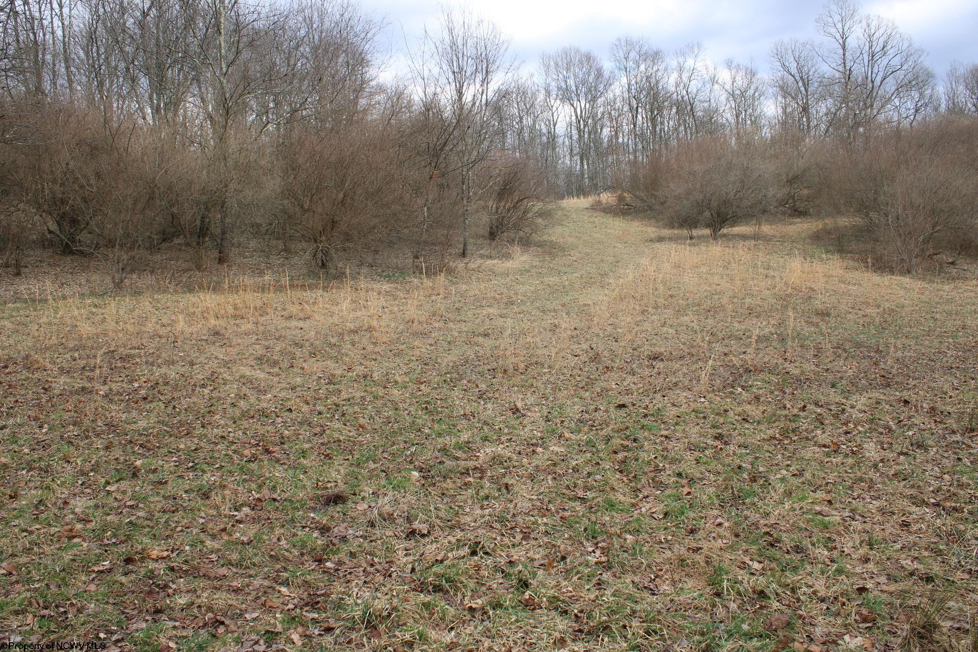 Gallery Image 13