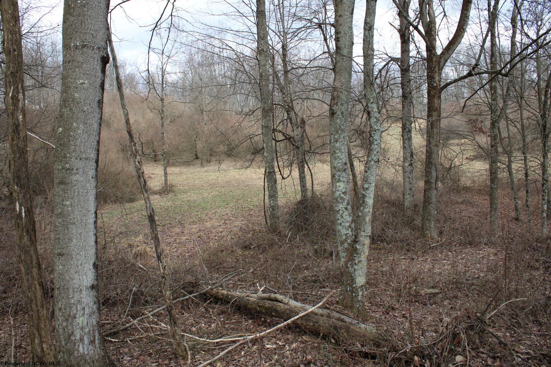 Gallery Image 14