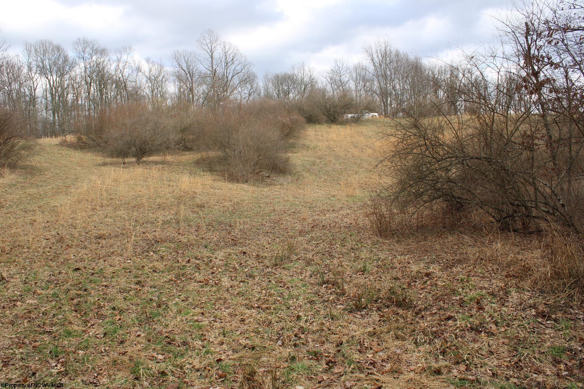 Gallery Image 15