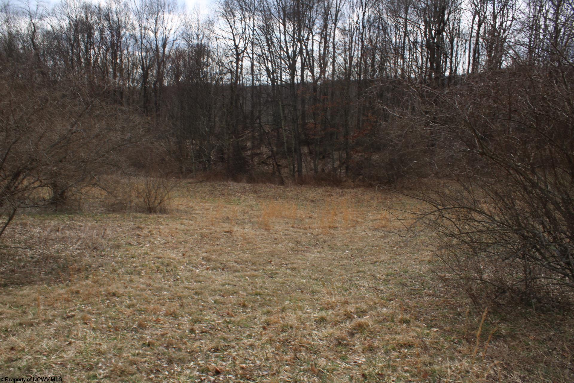 Gallery Image 16