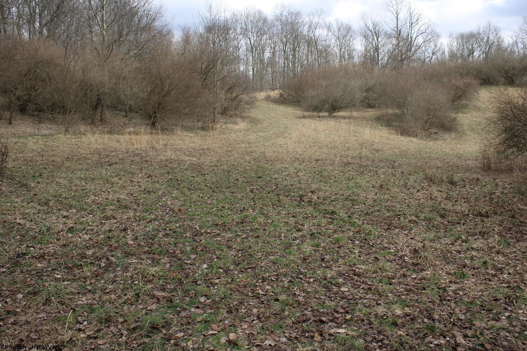 Gallery Image 17
