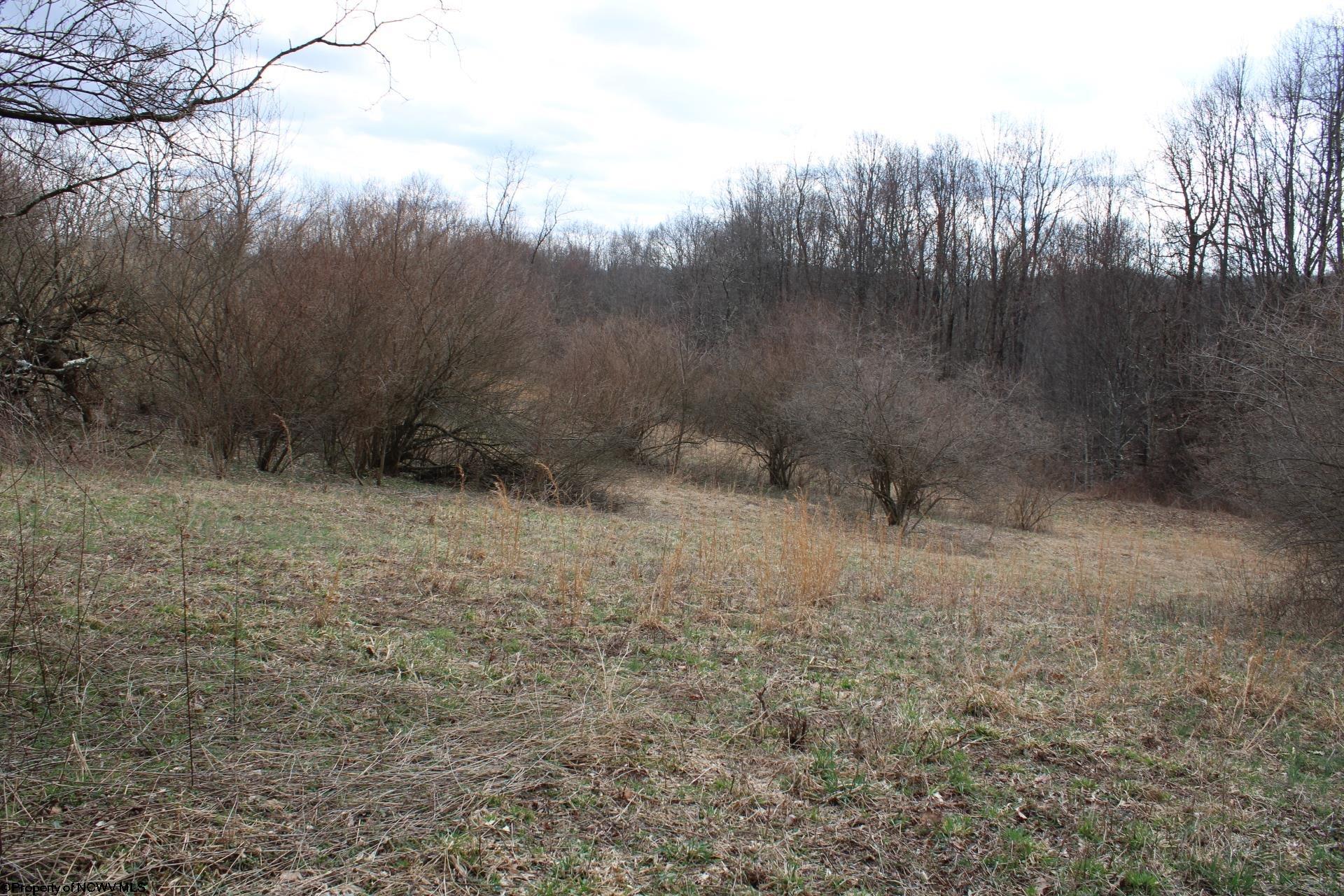Gallery Image 18