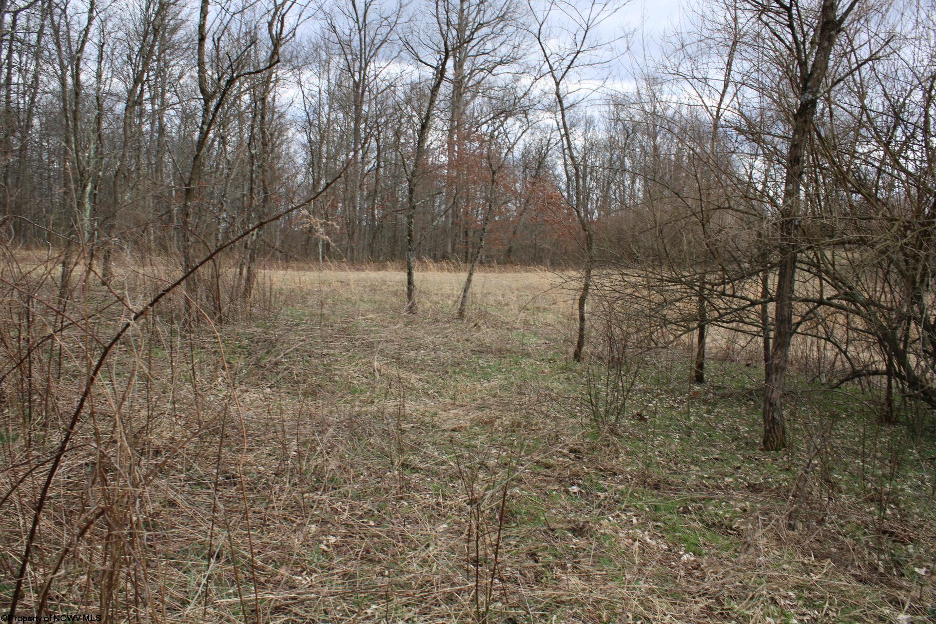 Gallery Image 21