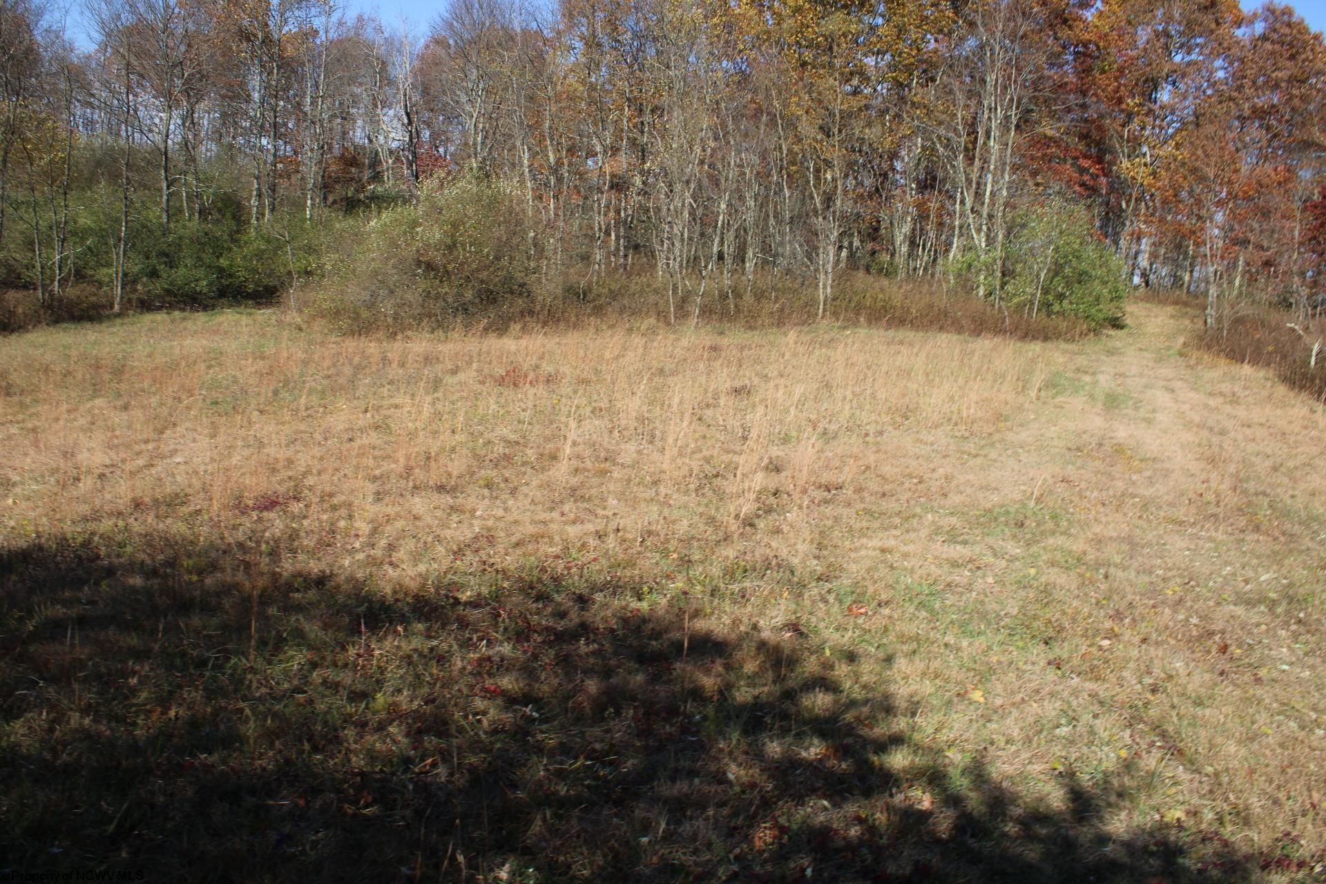 Gallery Image 35