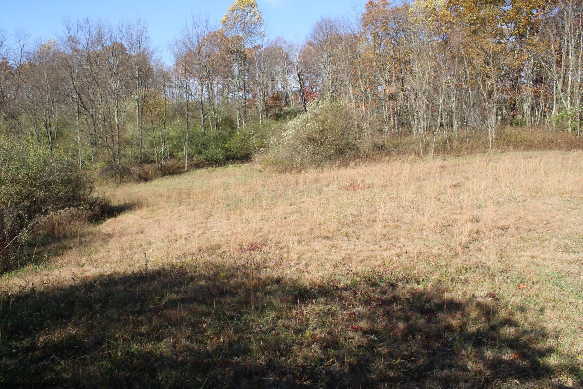 Gallery Image 36