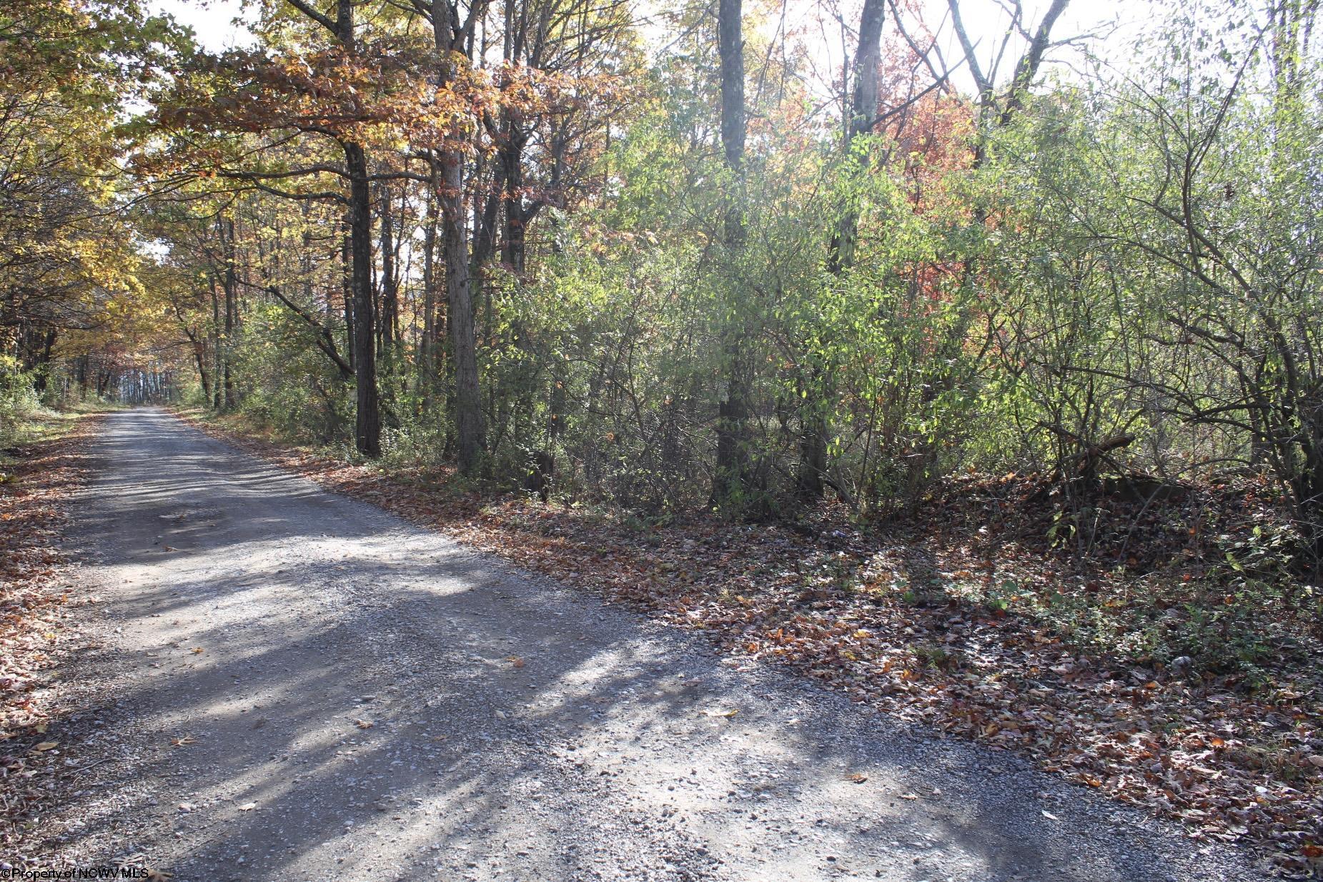 Gallery Image 8