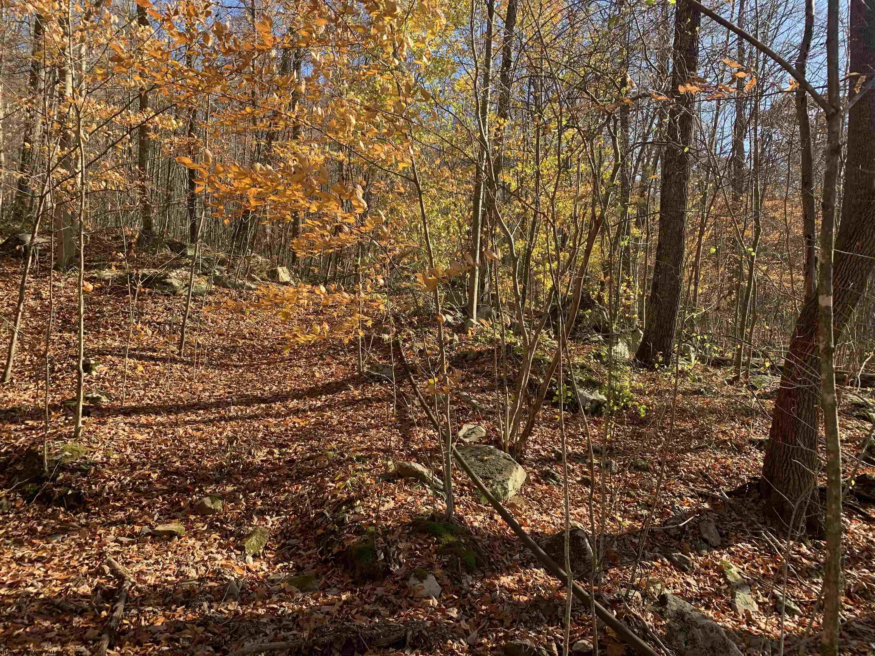 Gallery Image 16