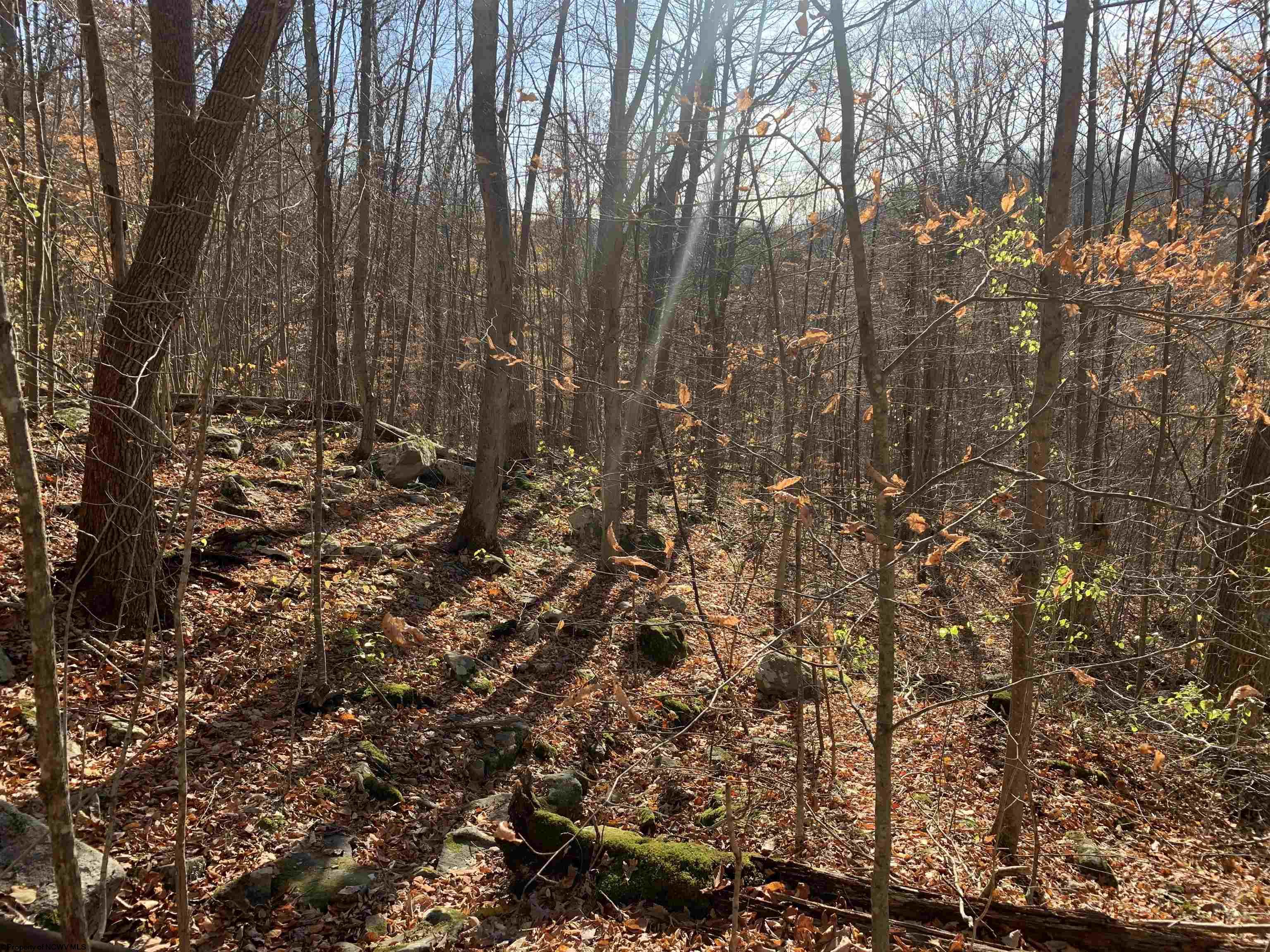 Gallery Image 17