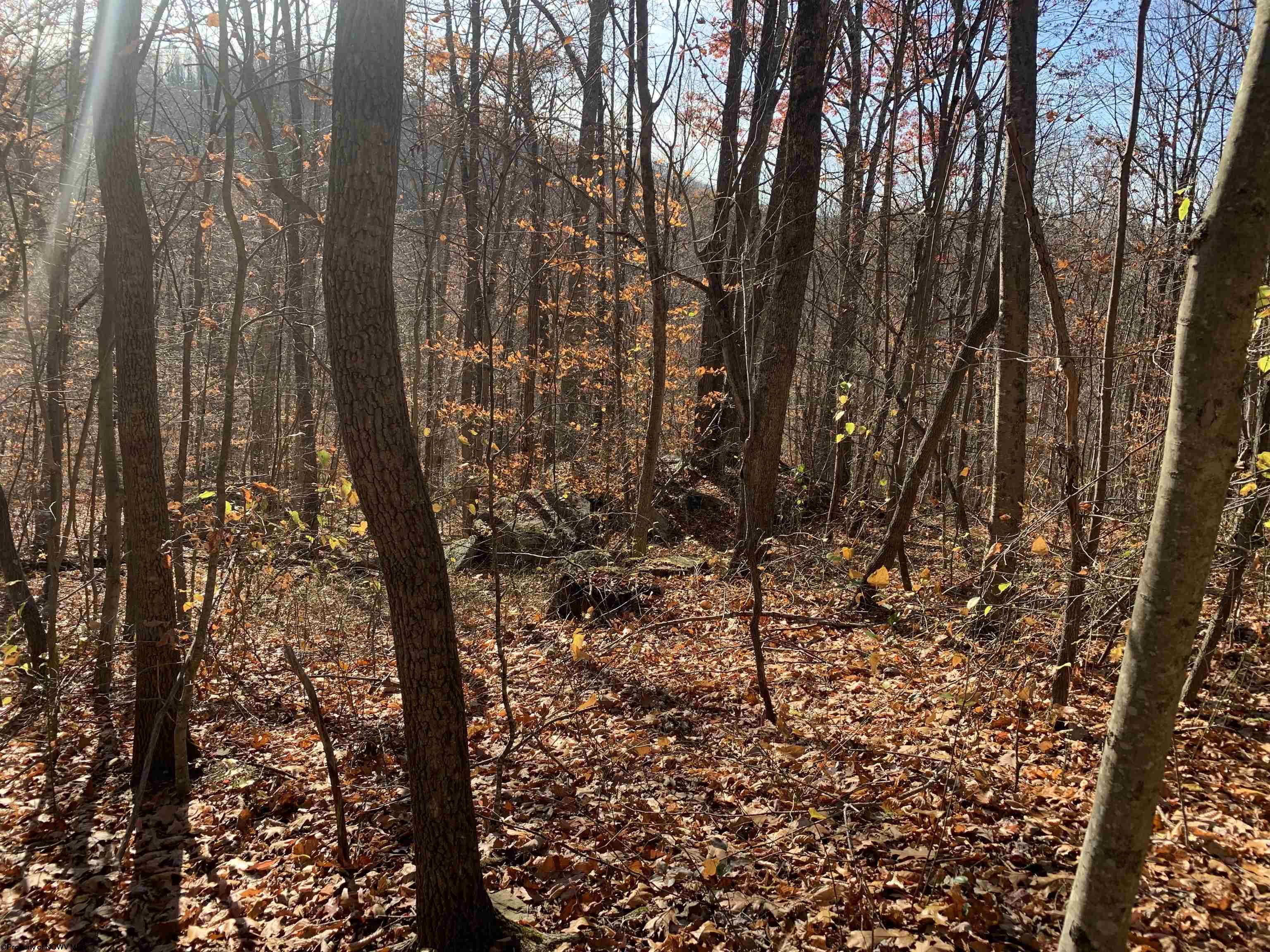 Gallery Image 18