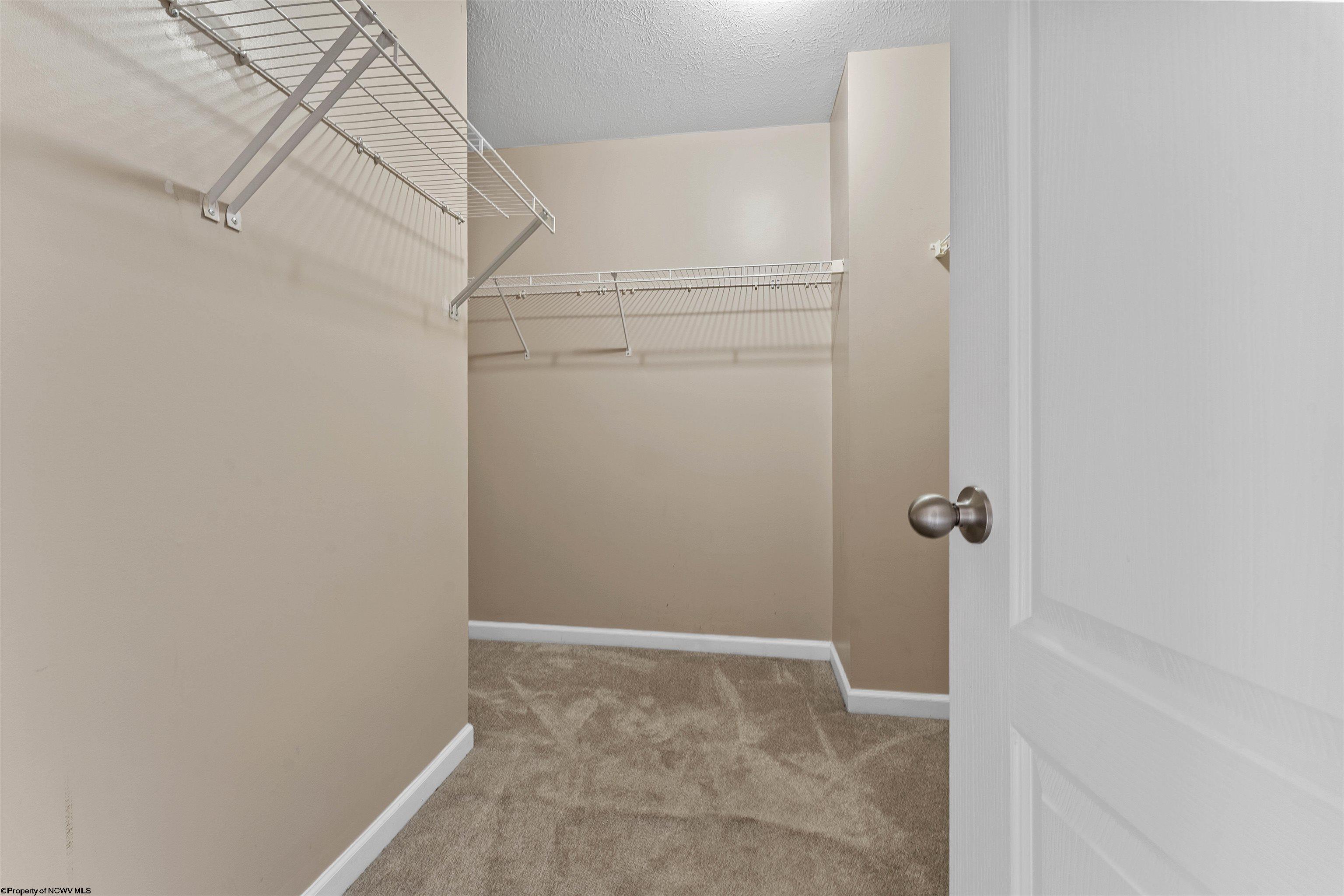 Gallery Image 20