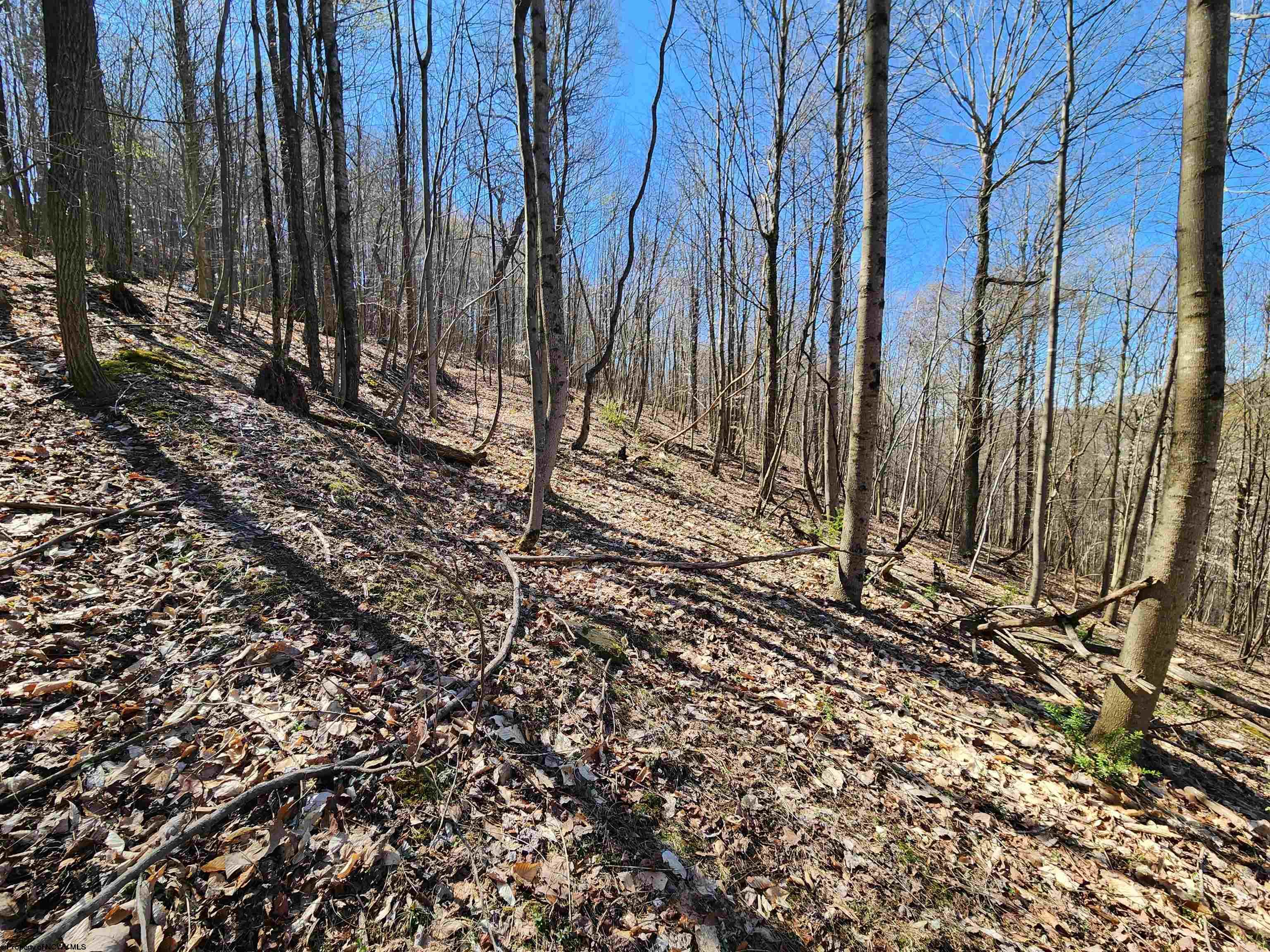 Gallery Image 13