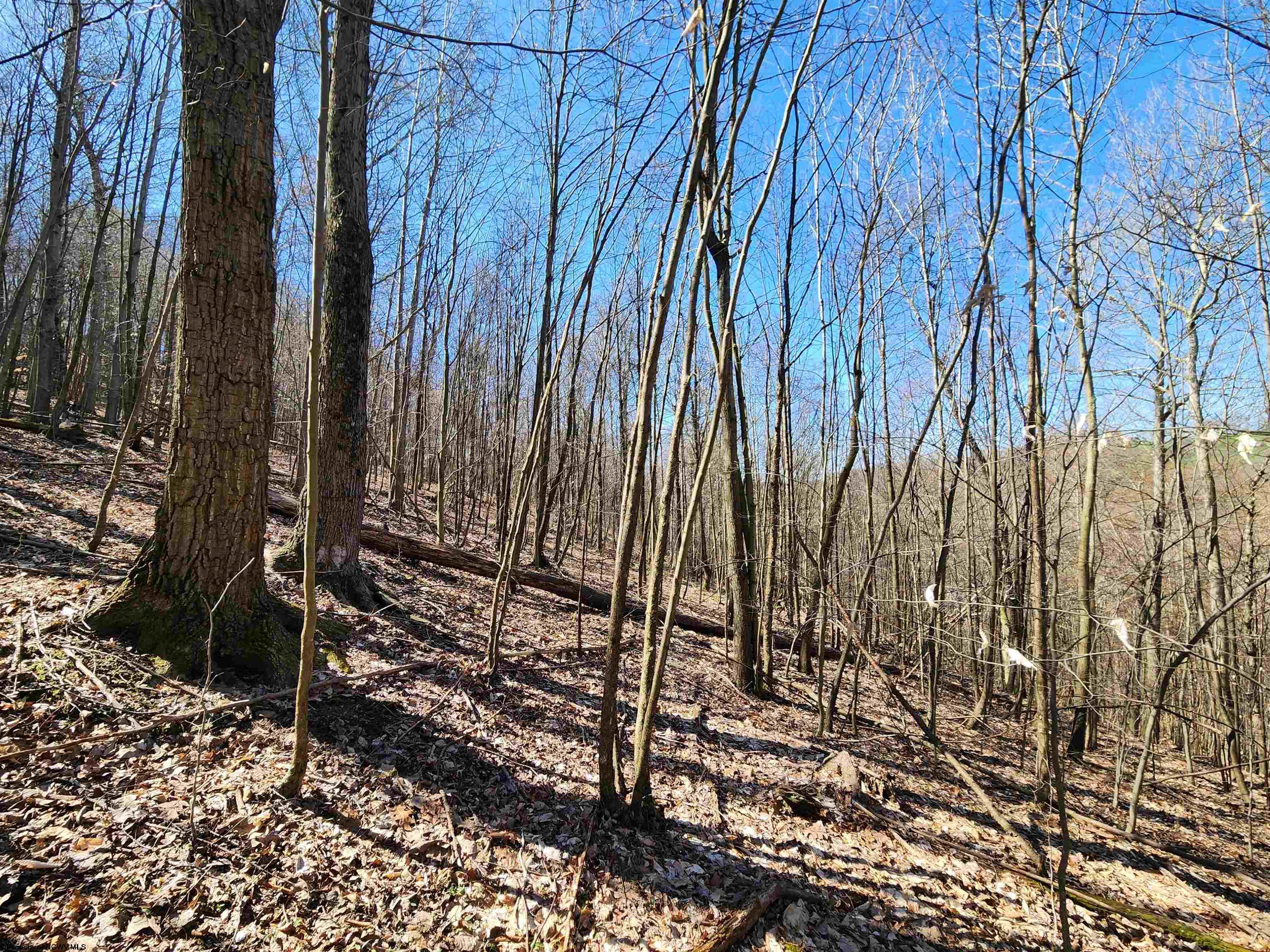 Gallery Image 14
