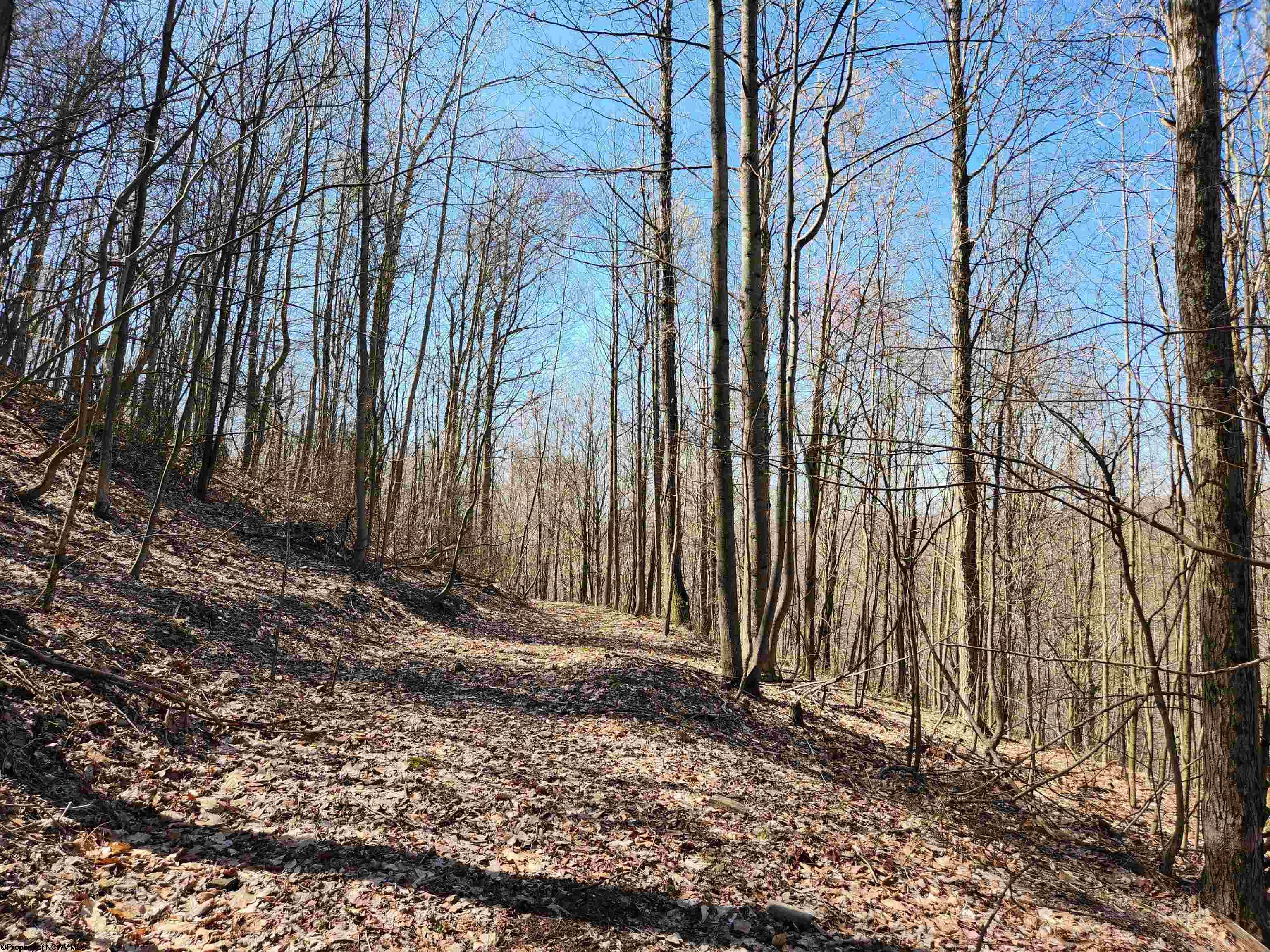 Gallery Image 16