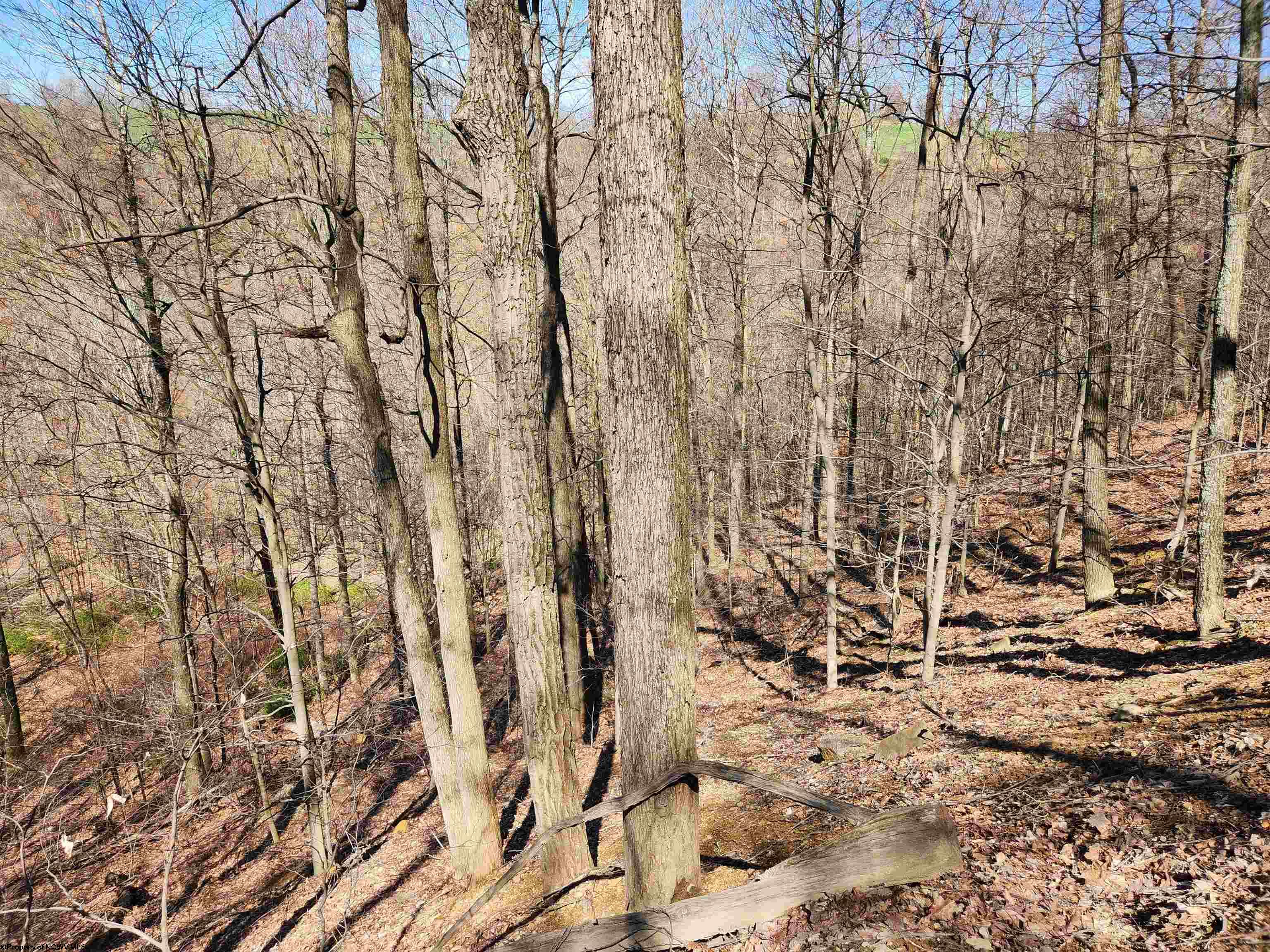 Gallery Image 6