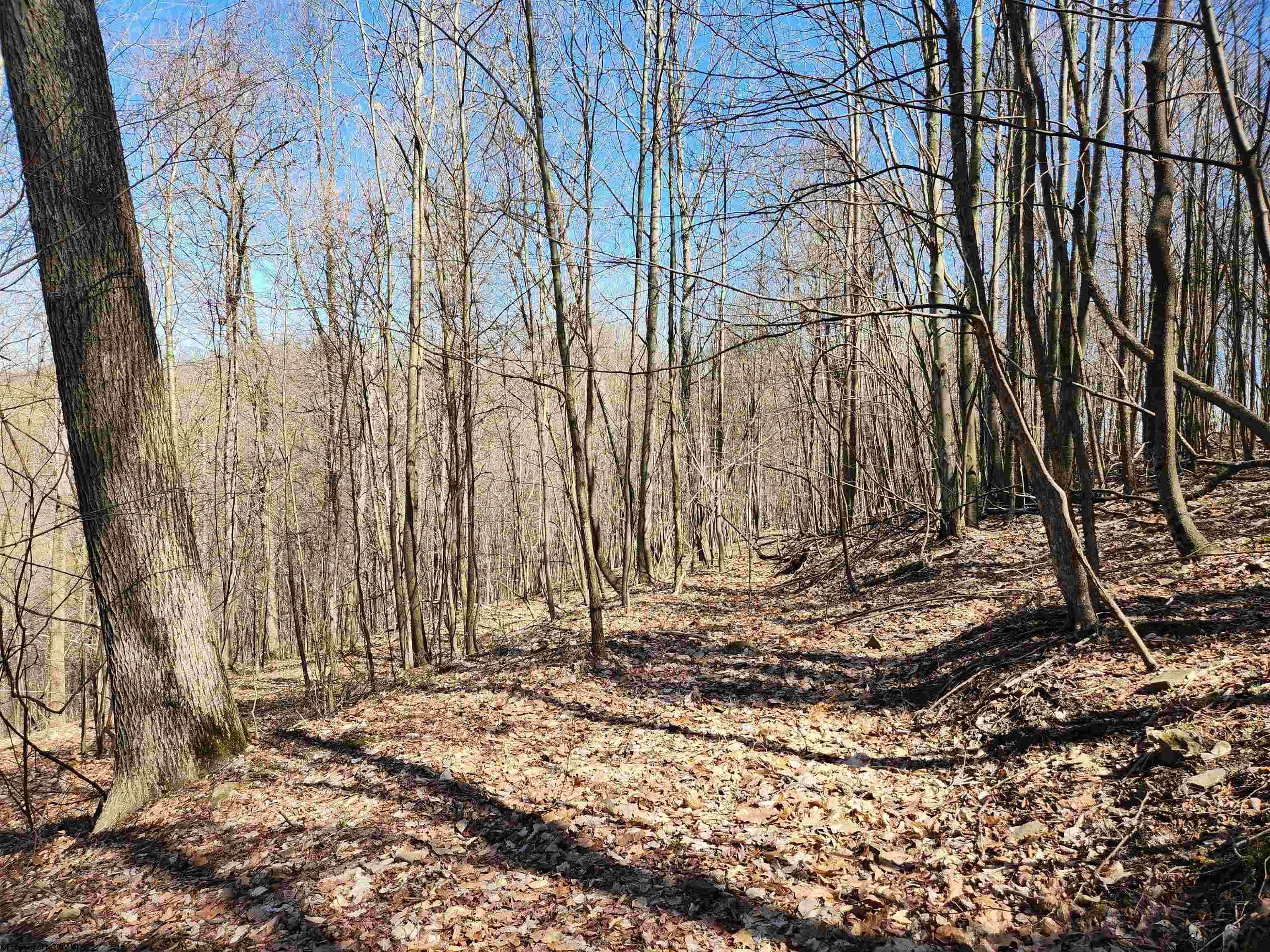 Gallery Image 8