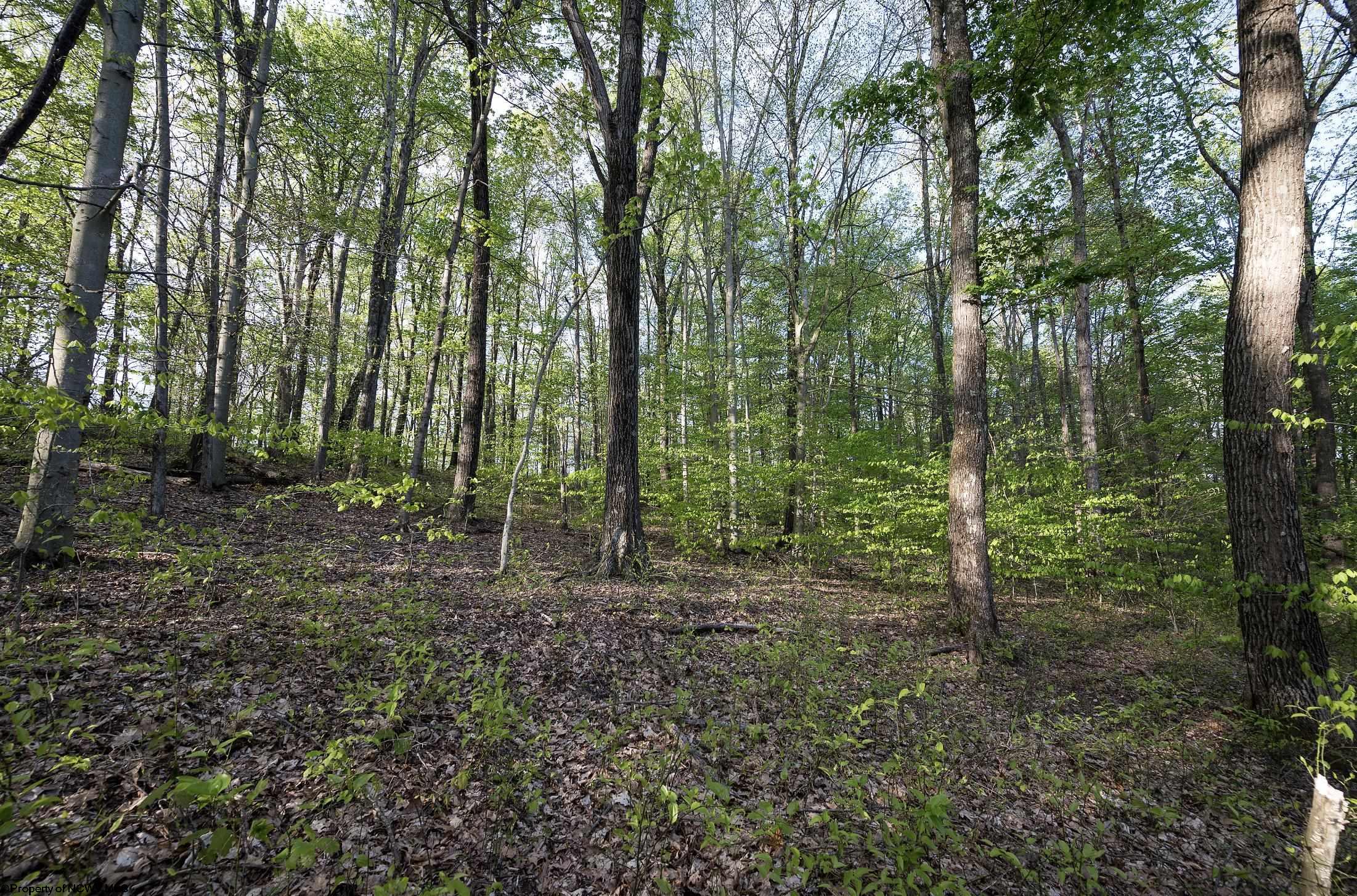 Gallery Image 14