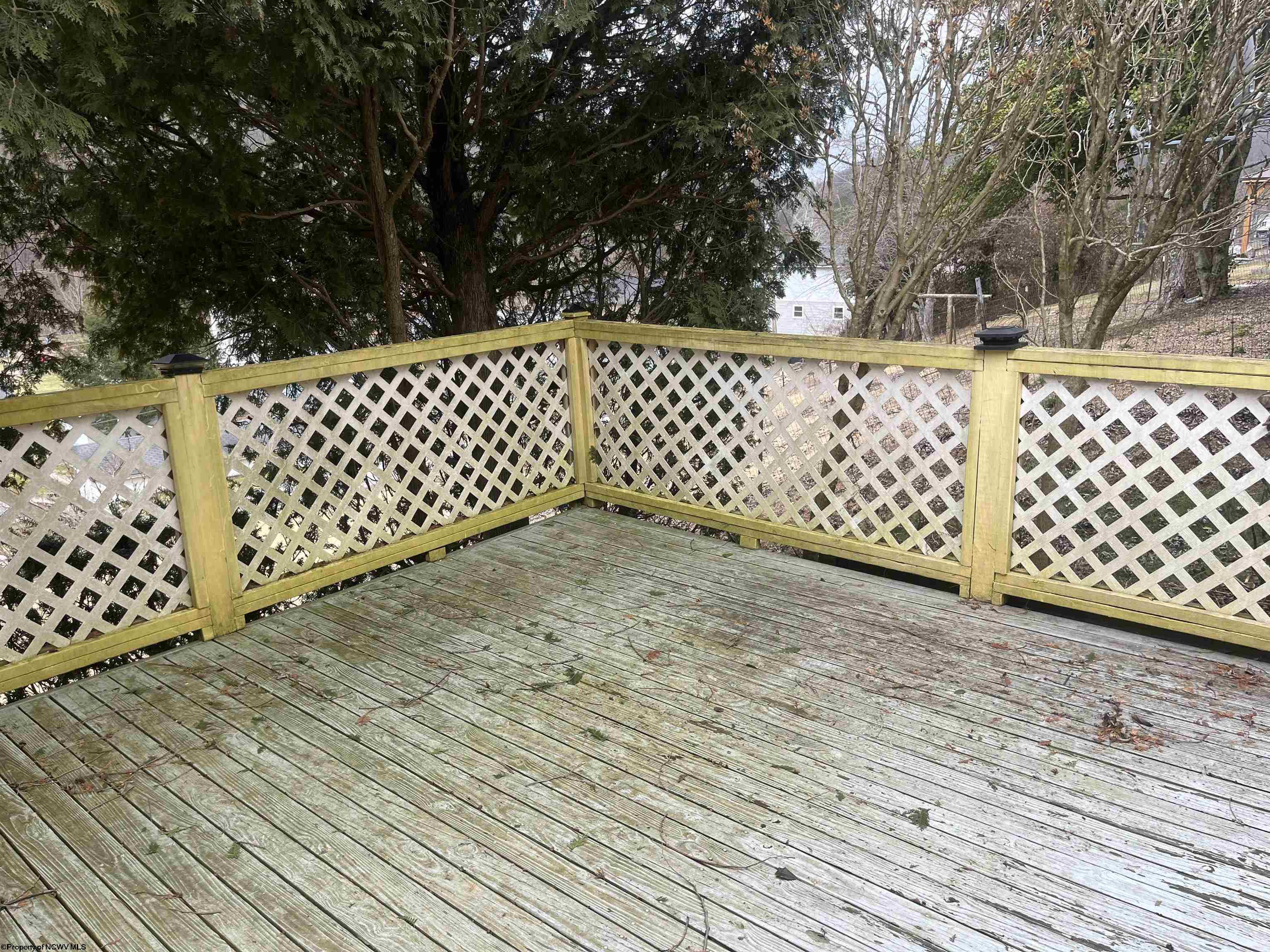 Gallery Image 10