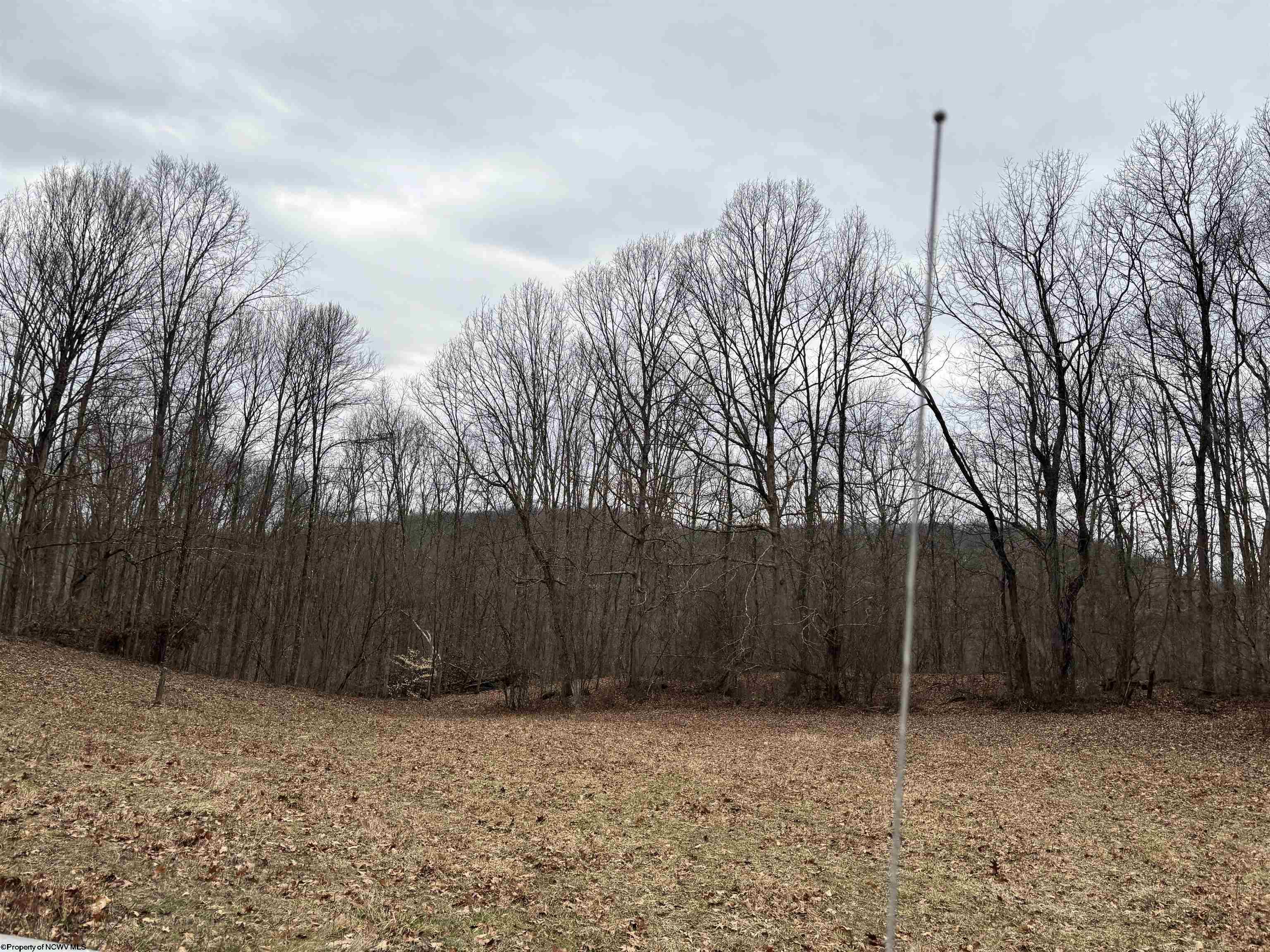 Gallery Image 12