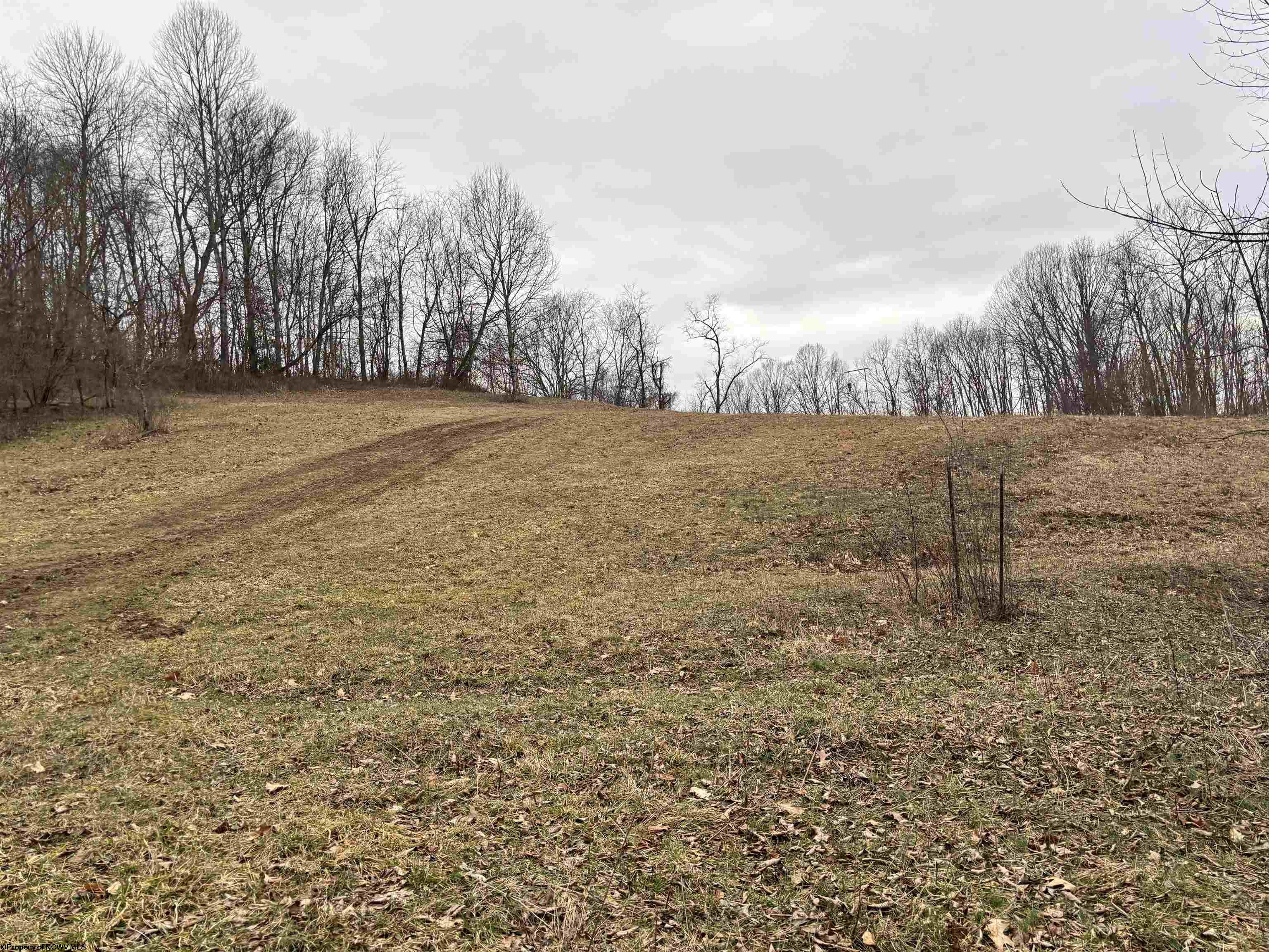 Gallery Image 14