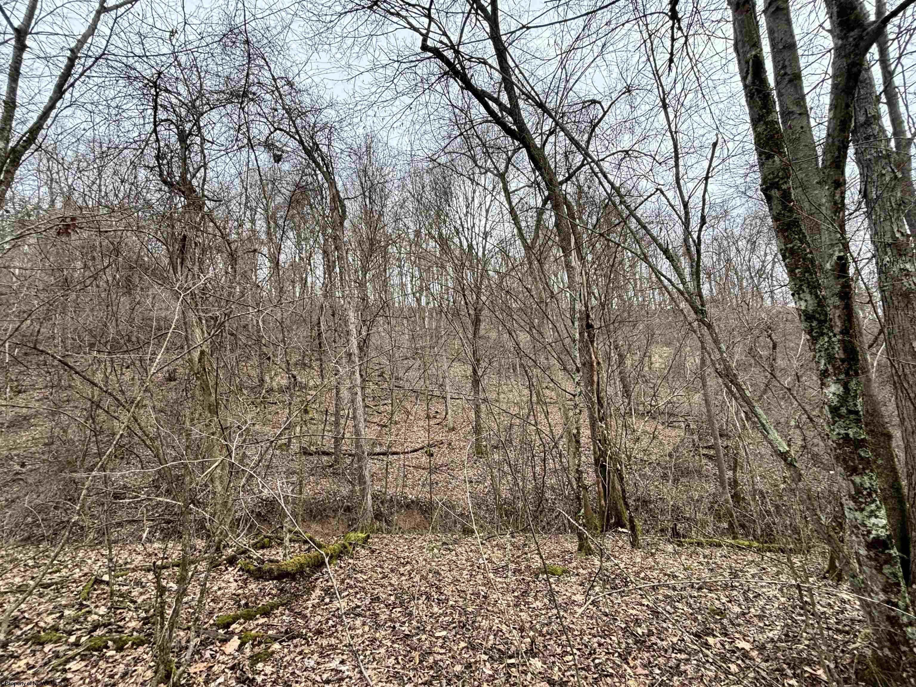 Gallery Image 16