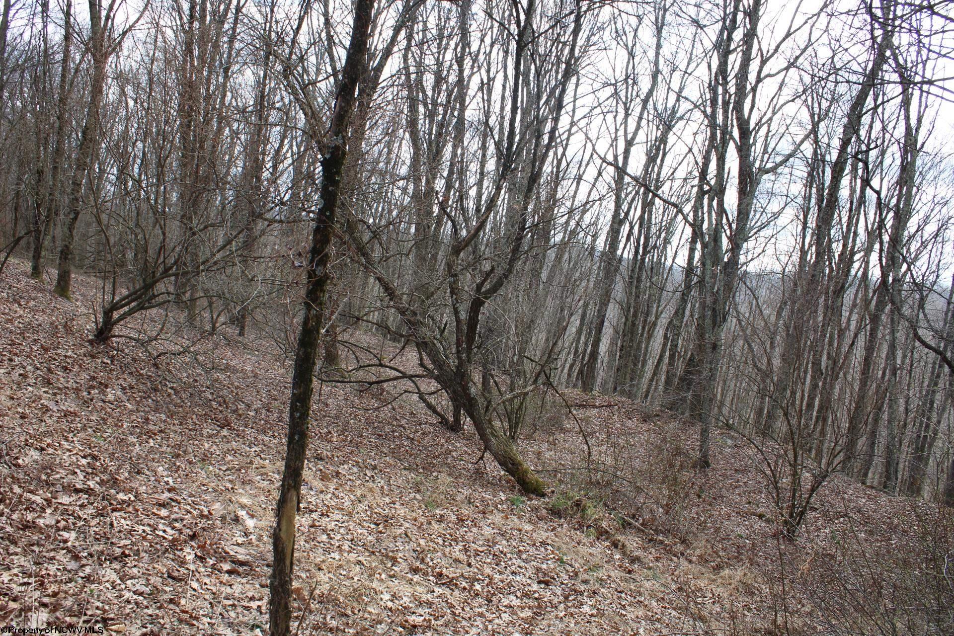 Gallery Image 10