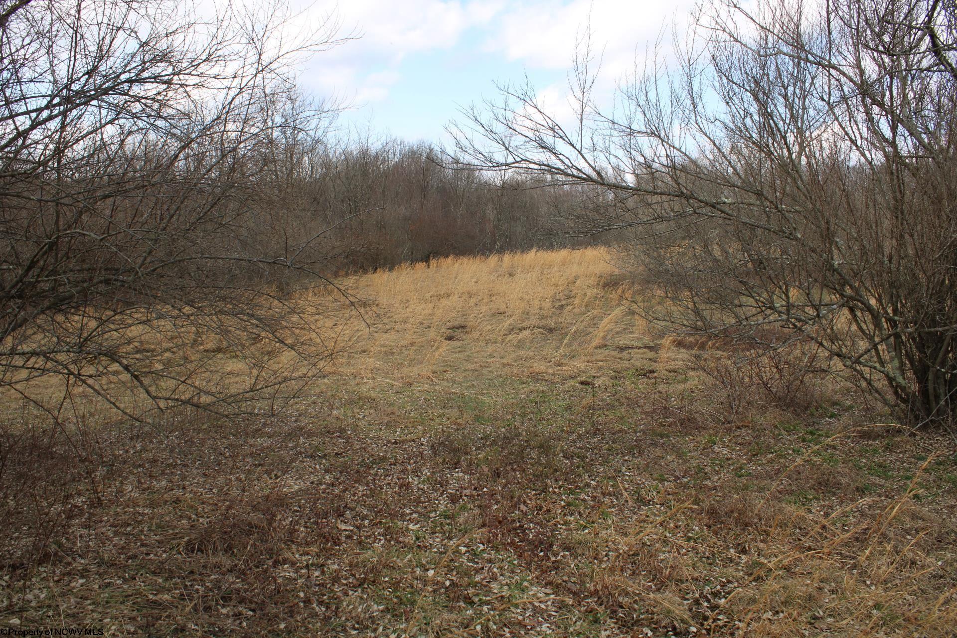 Gallery Image 12