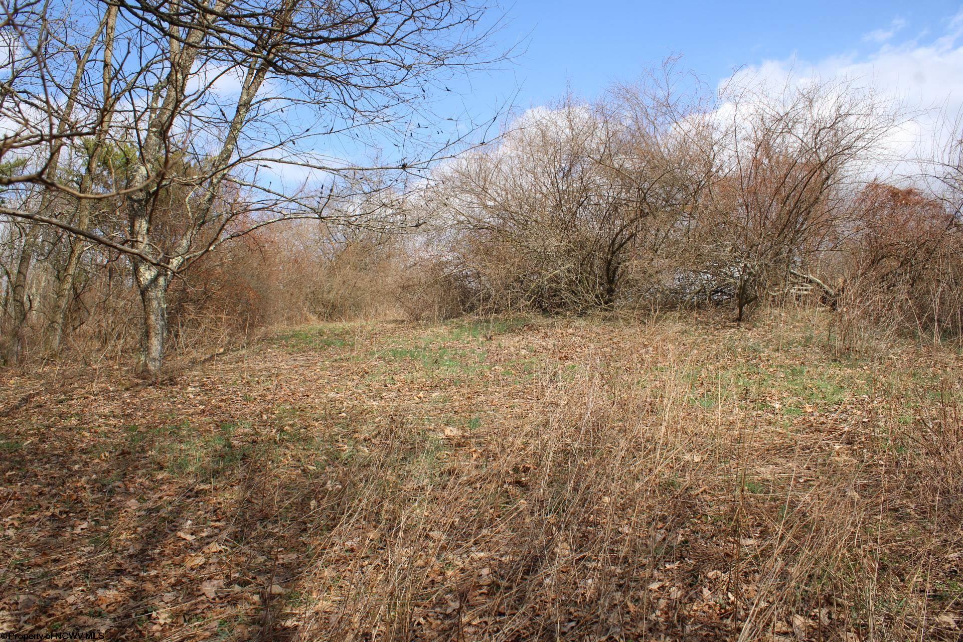 Gallery Image 23