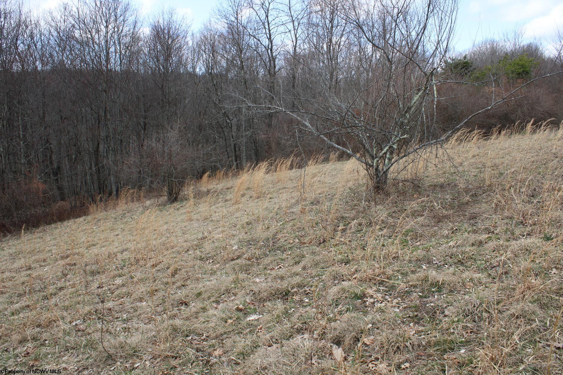 Gallery Image 24