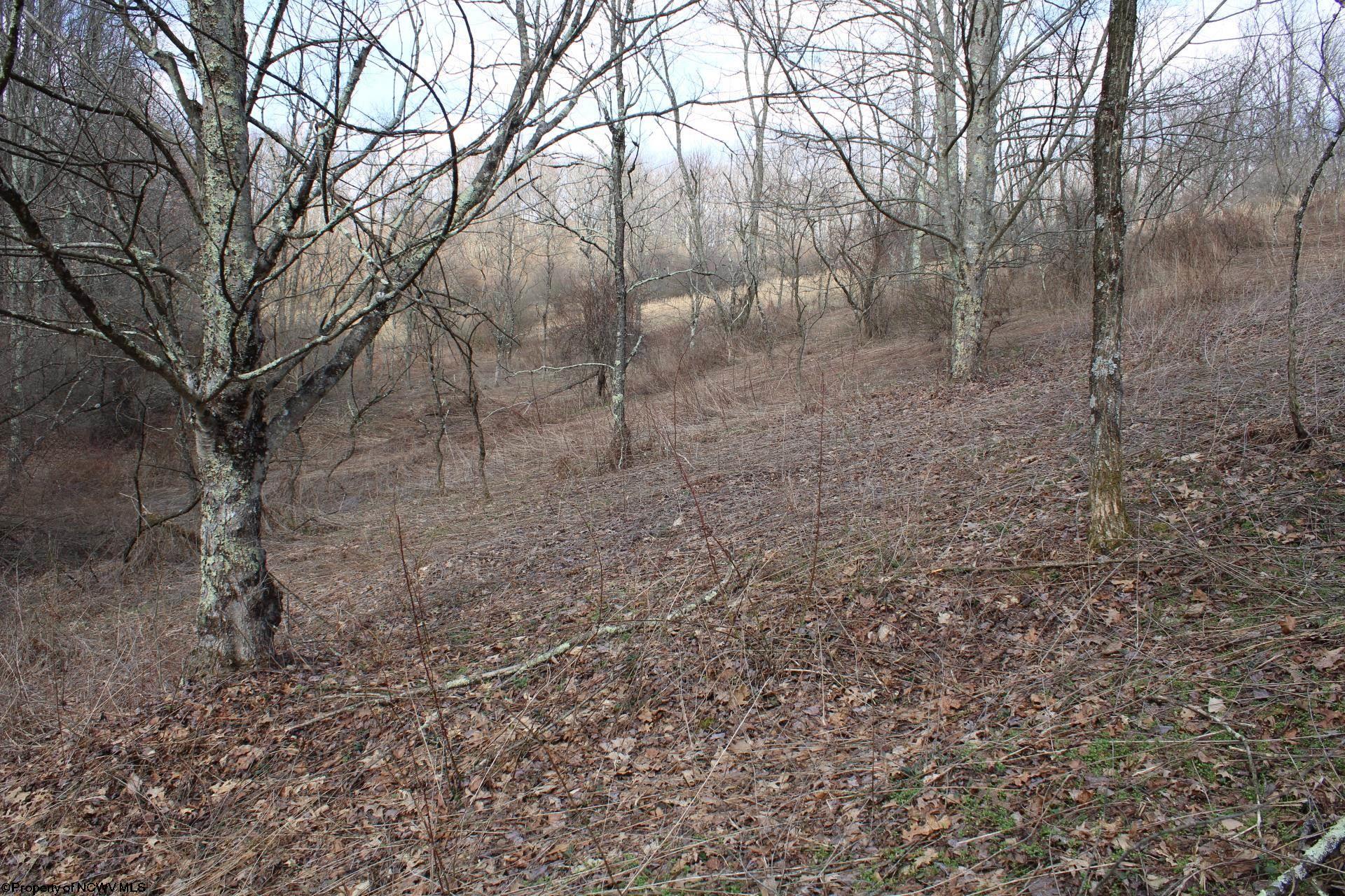 Gallery Image 36