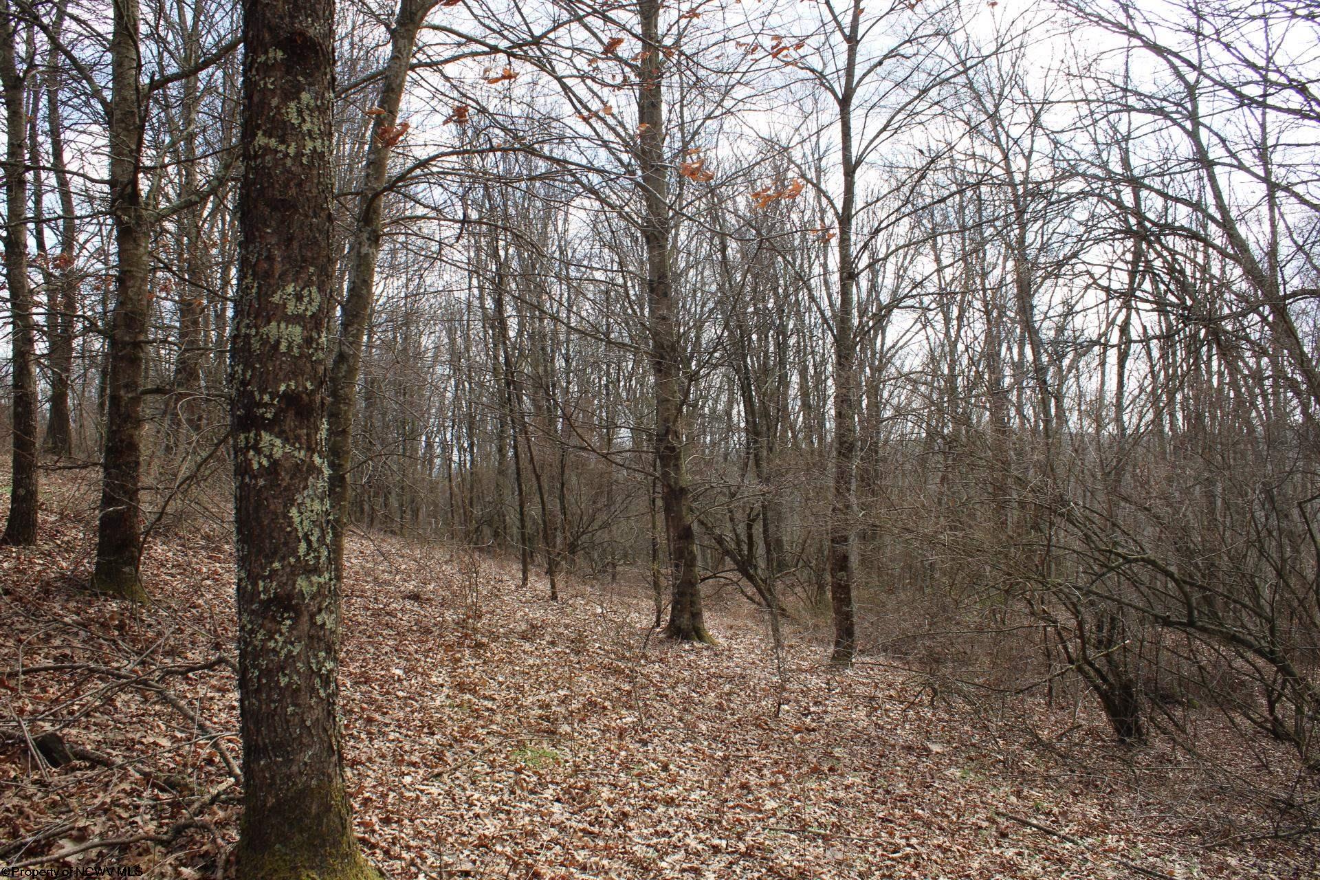 Gallery Image 37