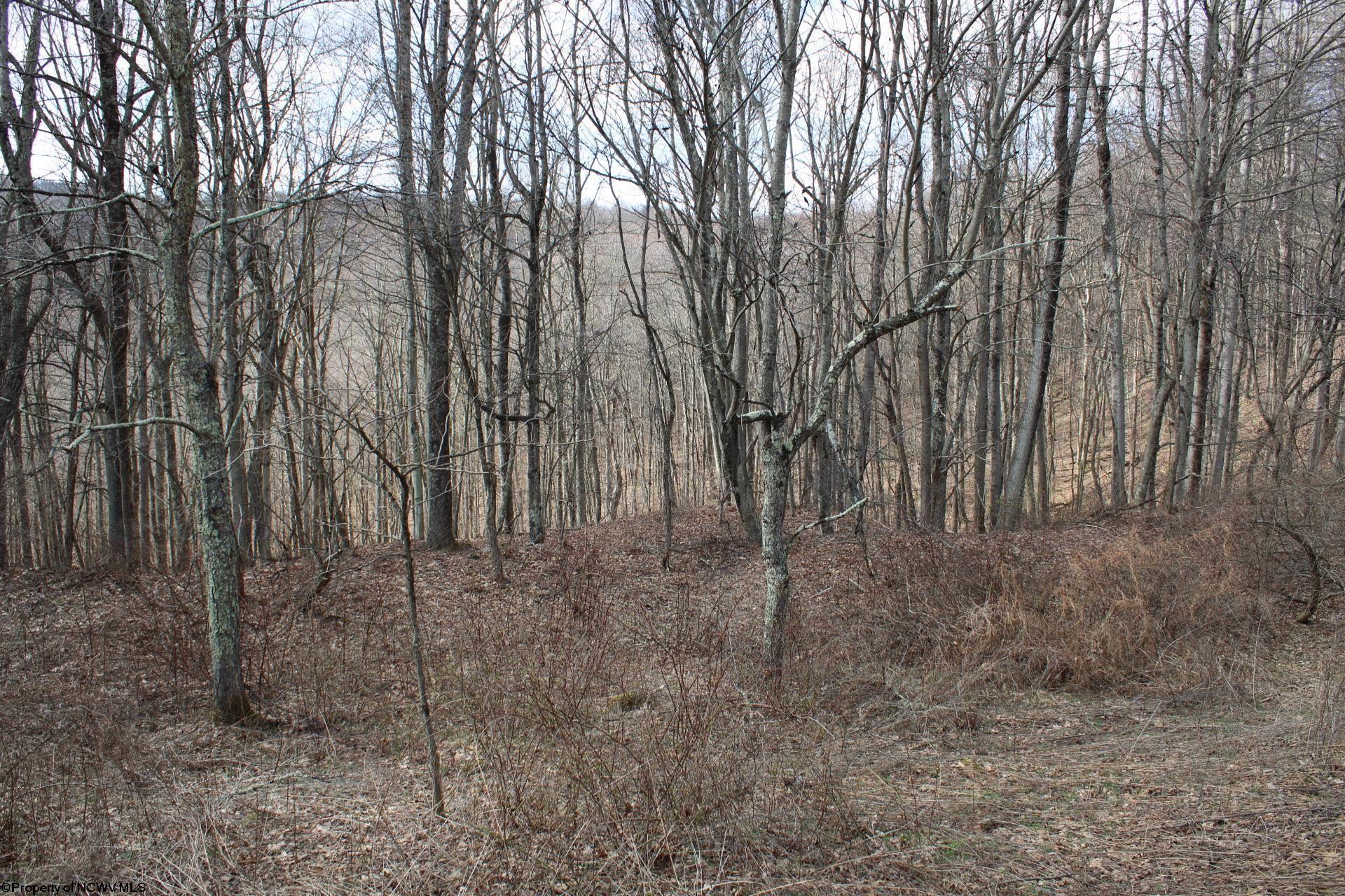 Gallery Image 9