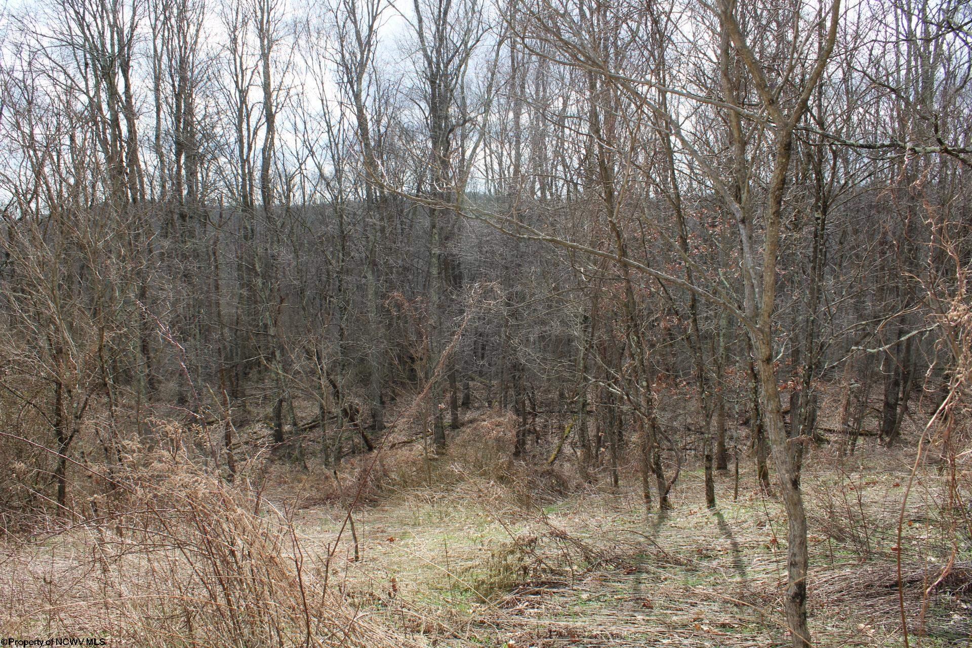 Gallery Image 11