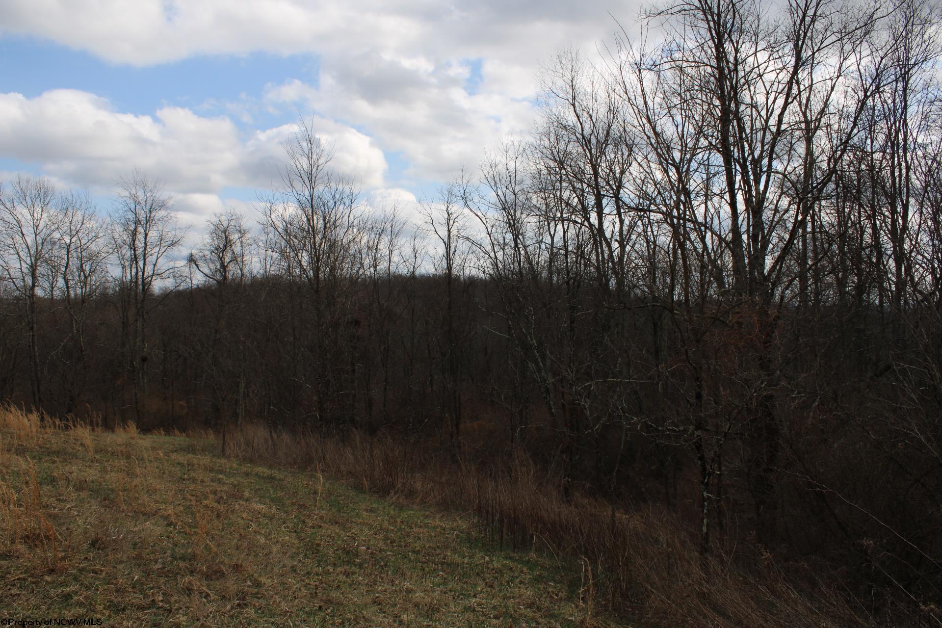 Gallery Image 12
