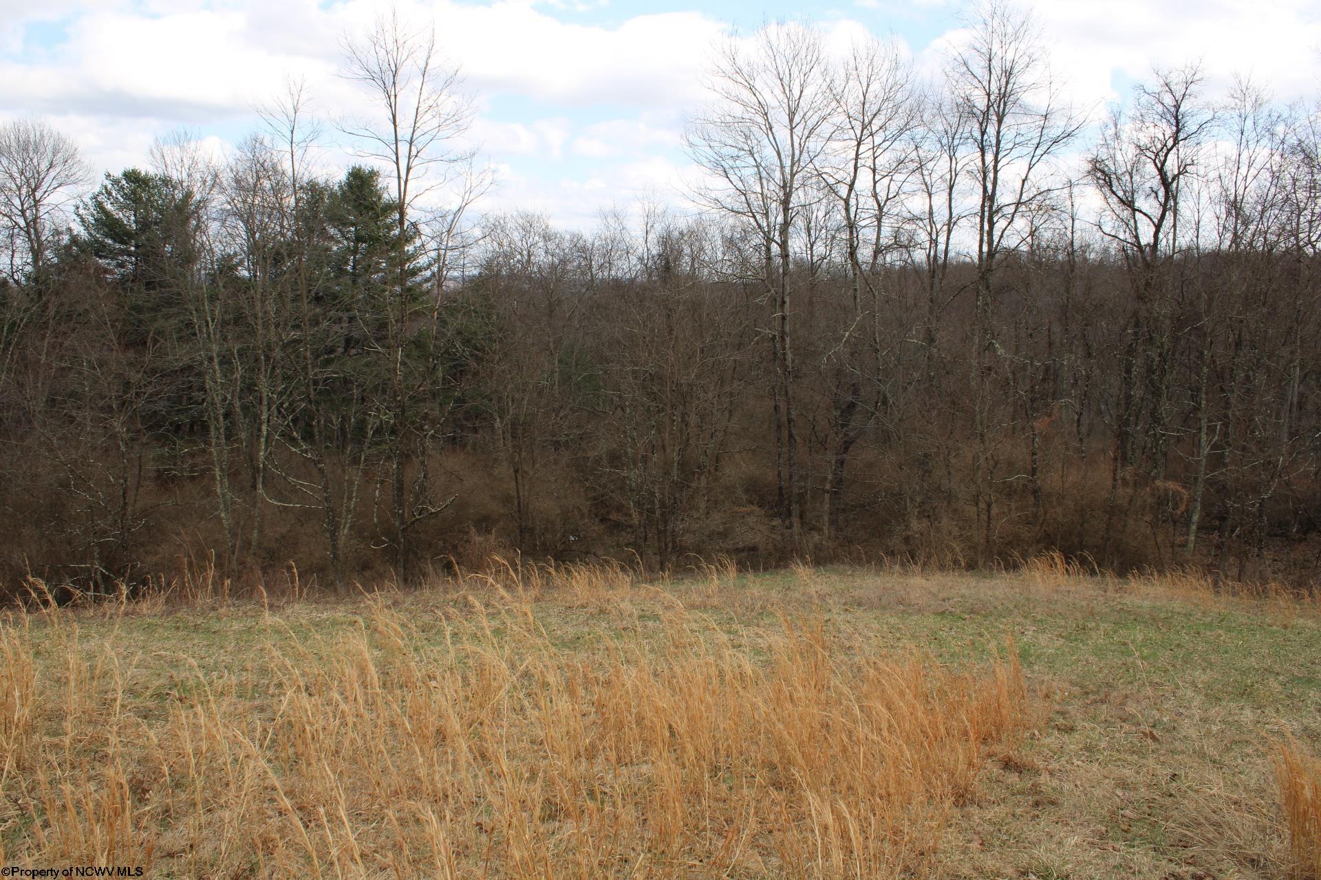 Gallery Image 15