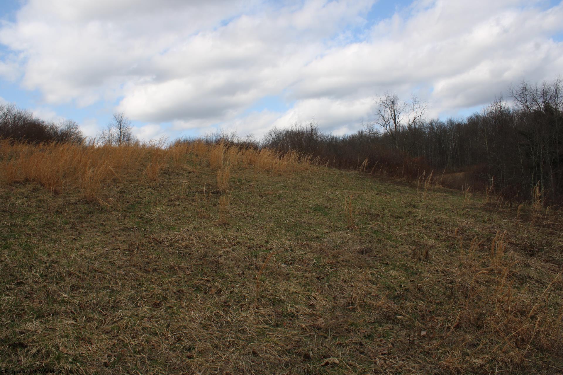Gallery Image 17