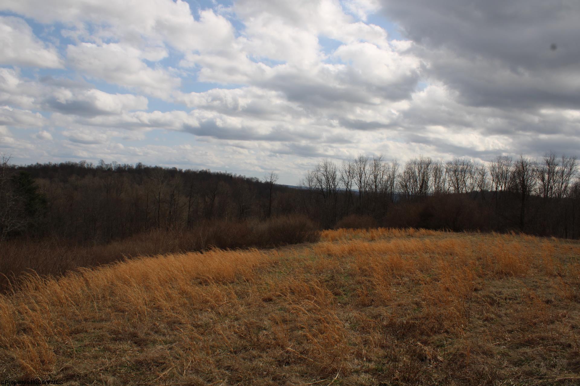 Gallery Image 28