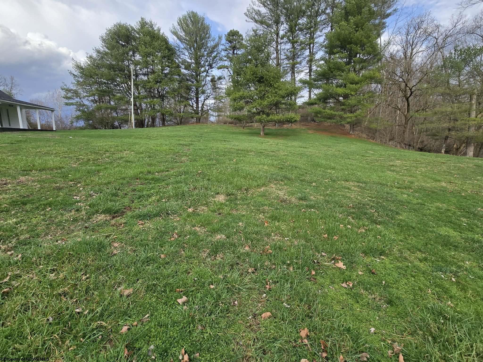 Gallery Image 11