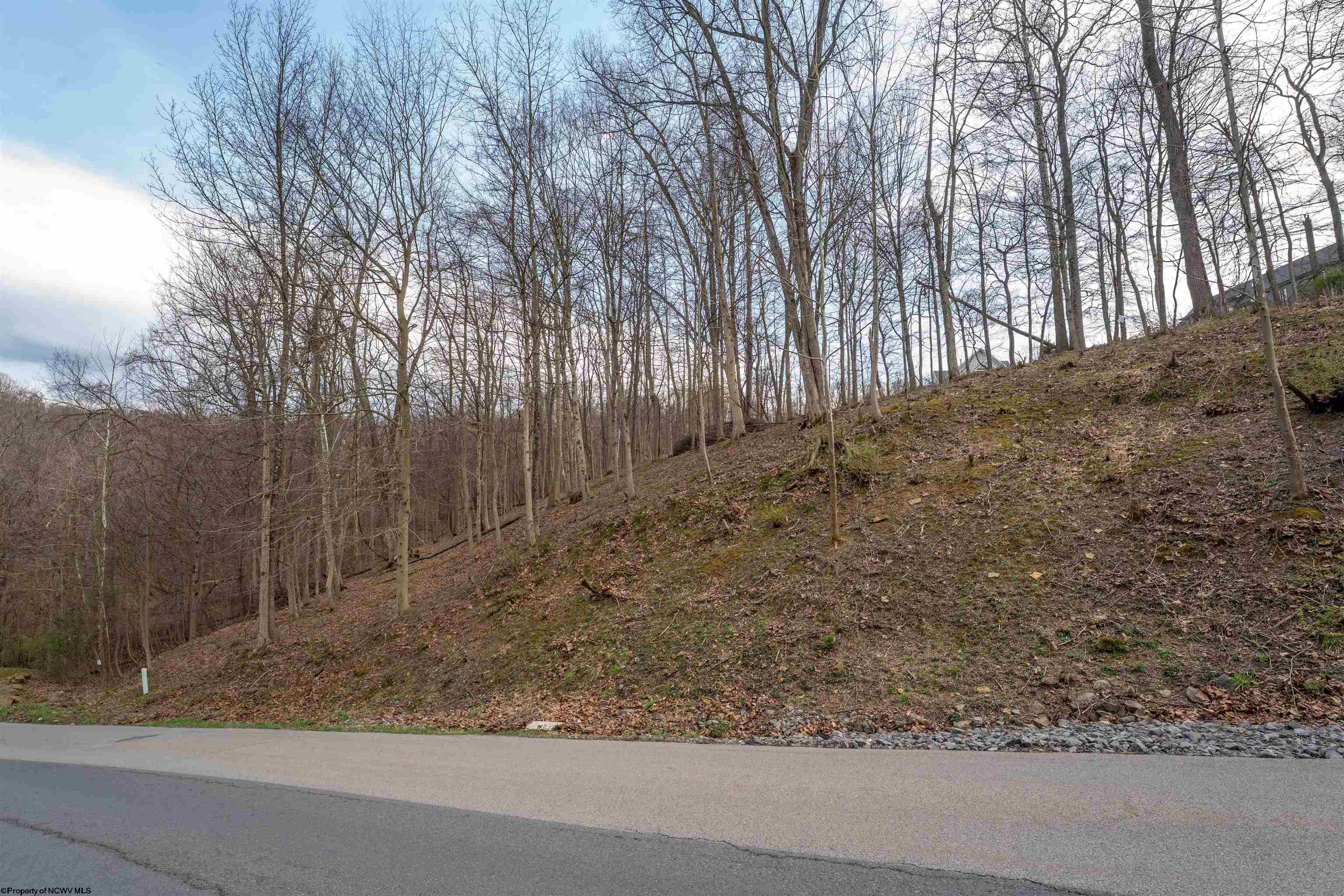 Gallery Image 16