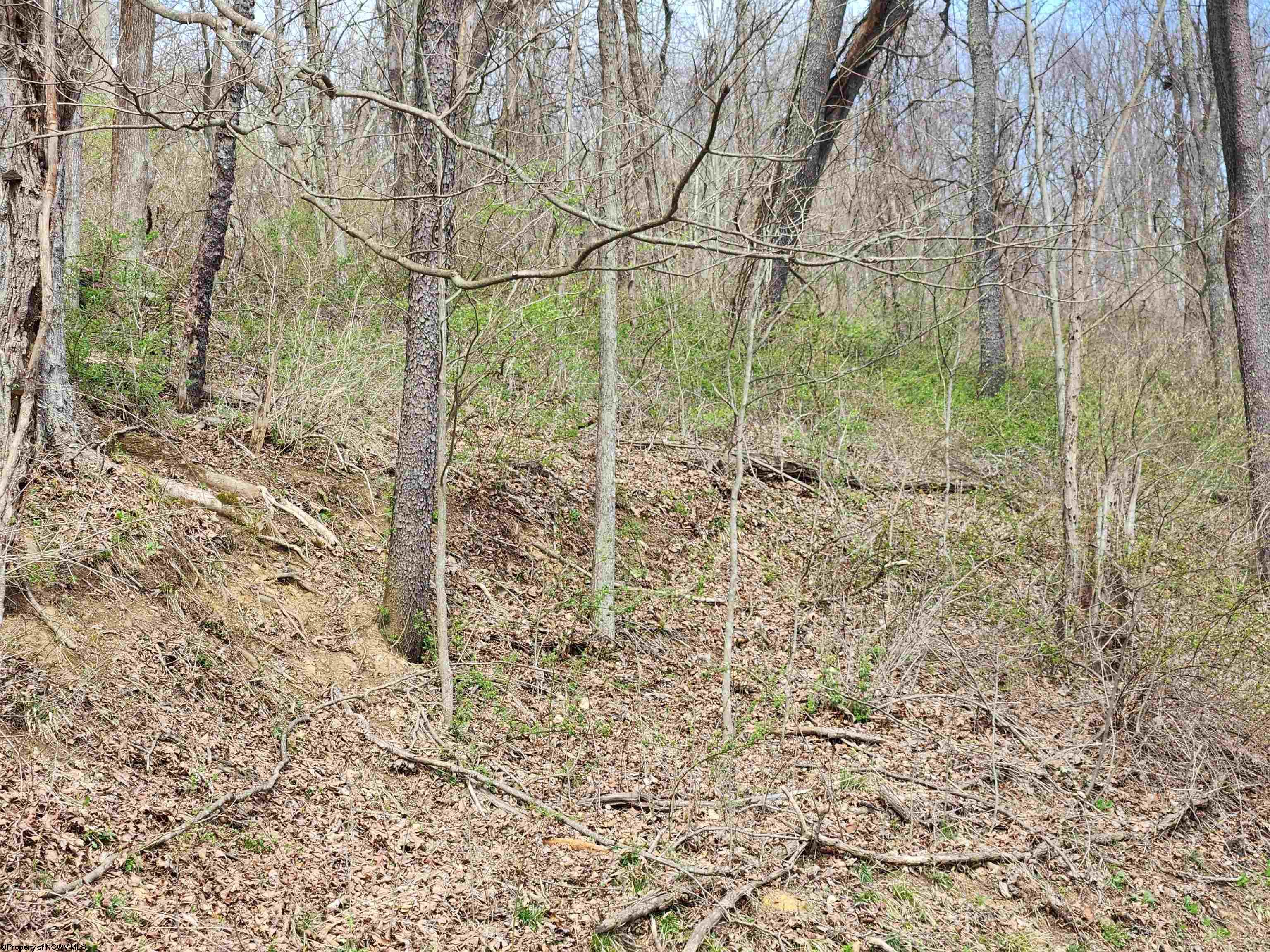 Gallery Image 11