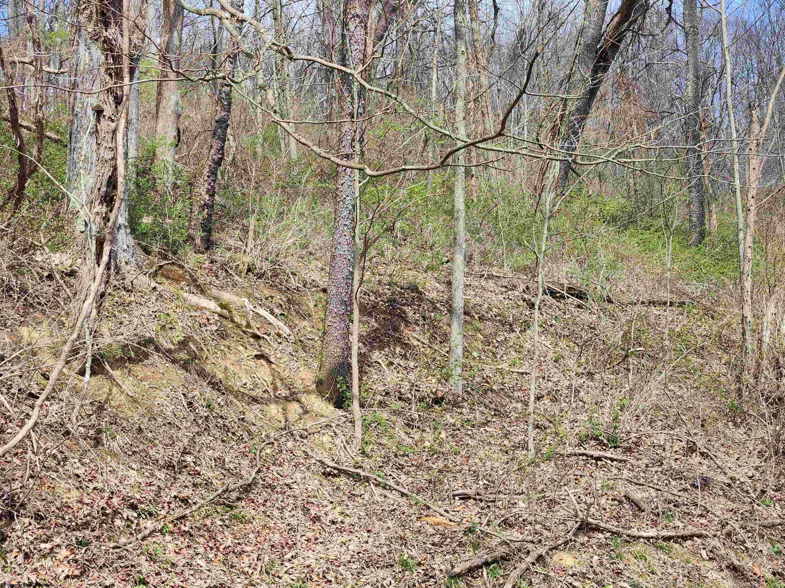 Gallery Image 12