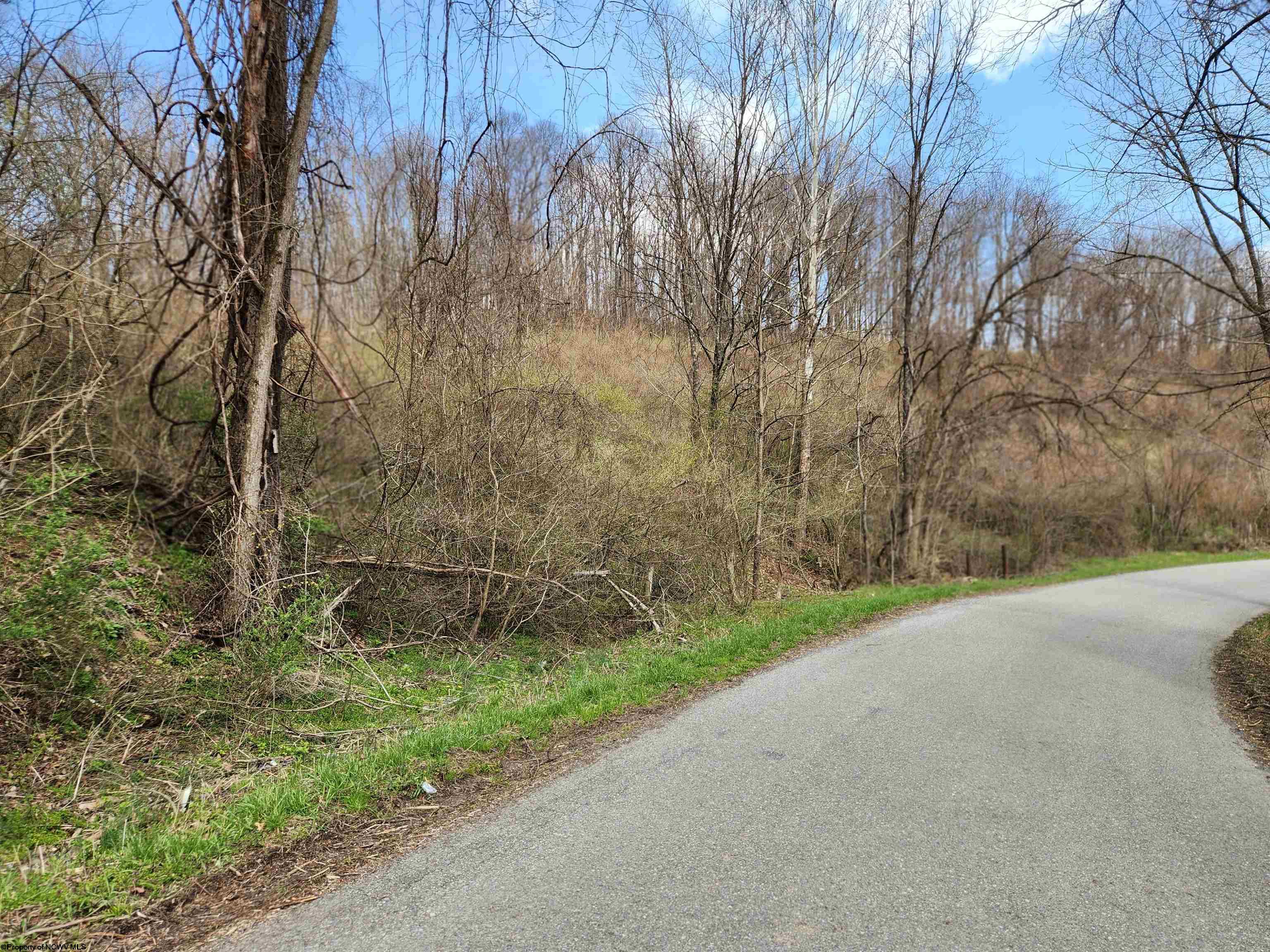 Gallery Image 13
