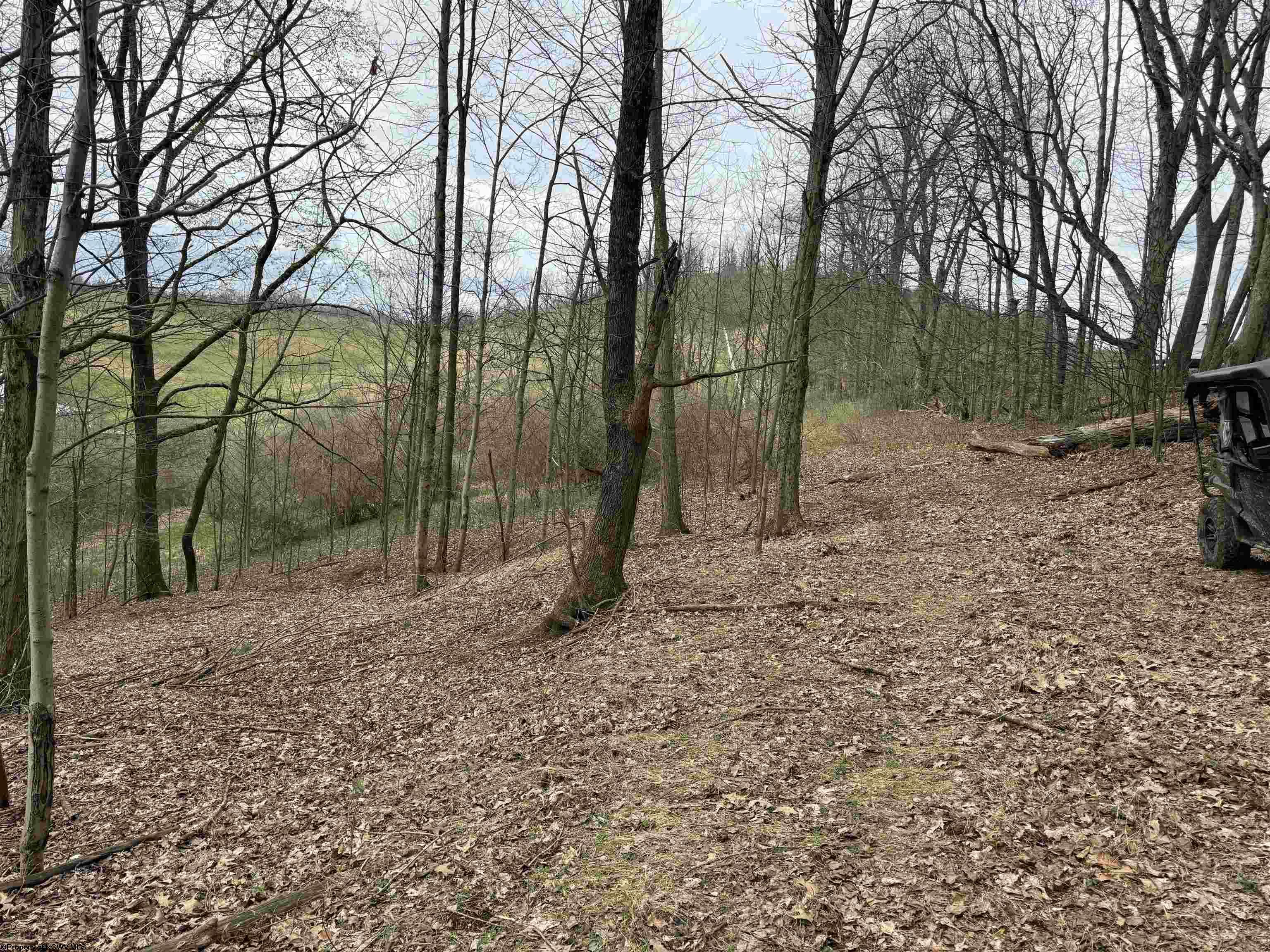Gallery Image 12