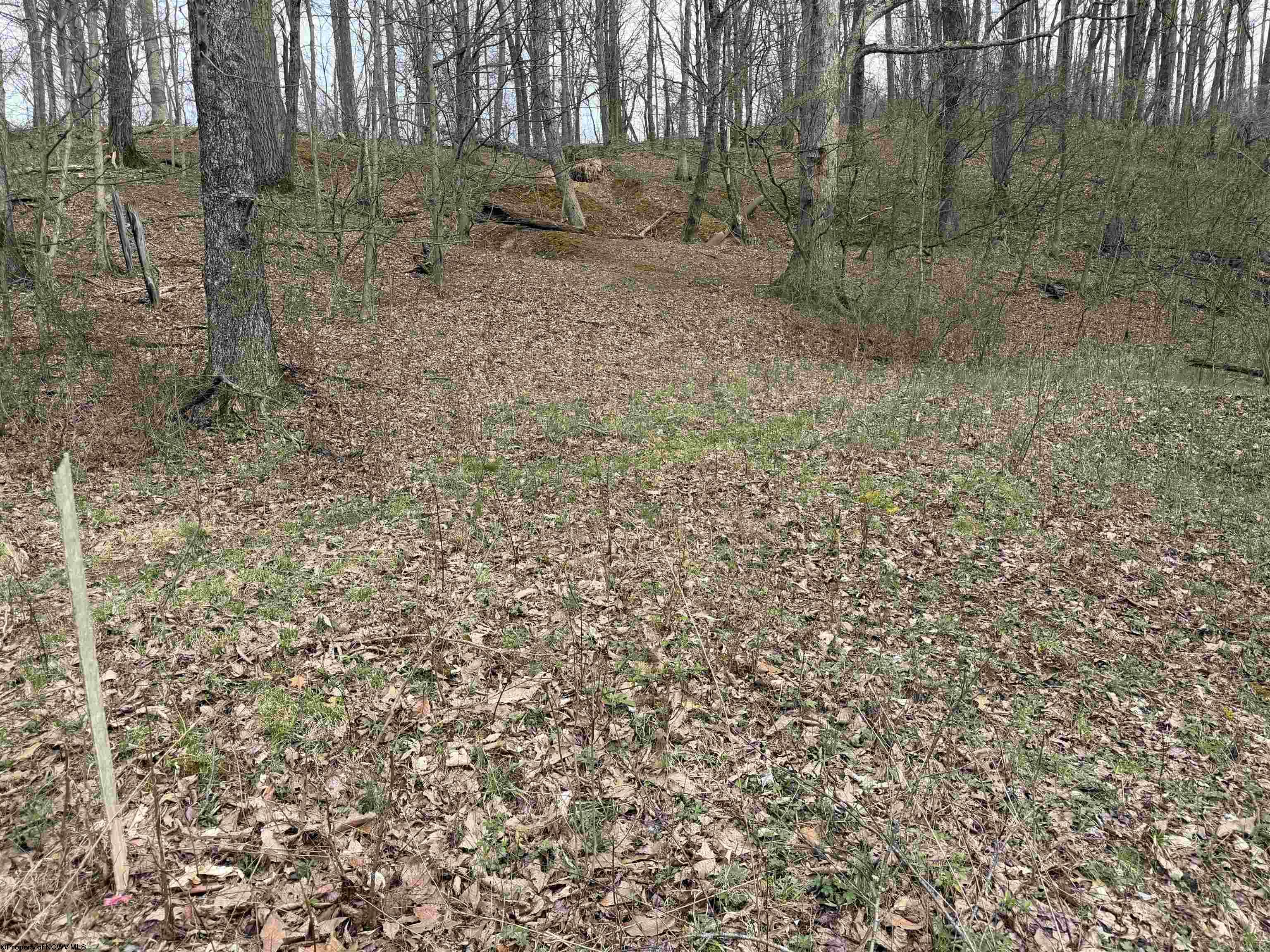 Gallery Image 13