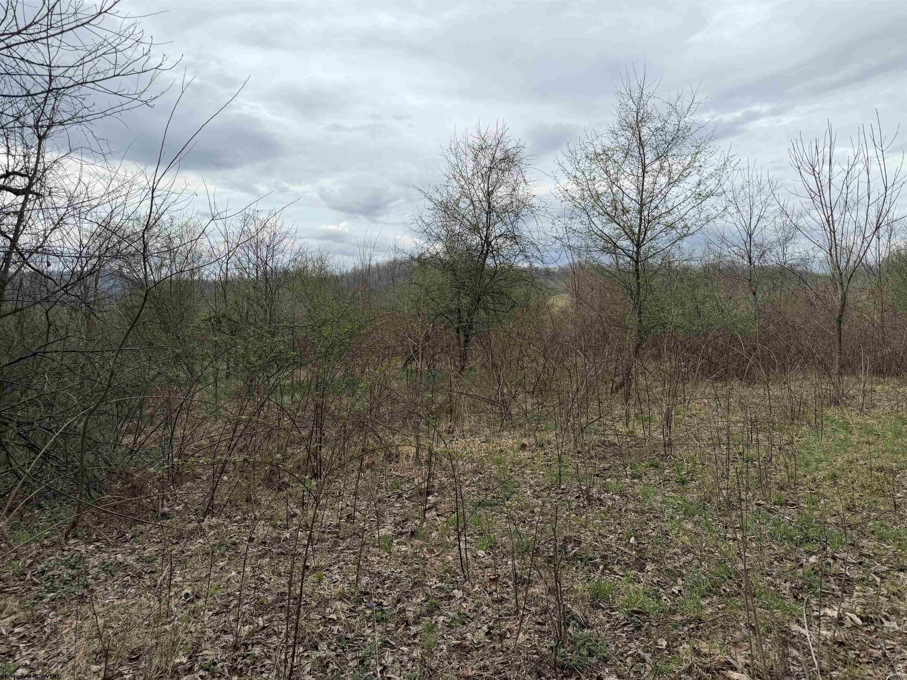 Gallery Image 14