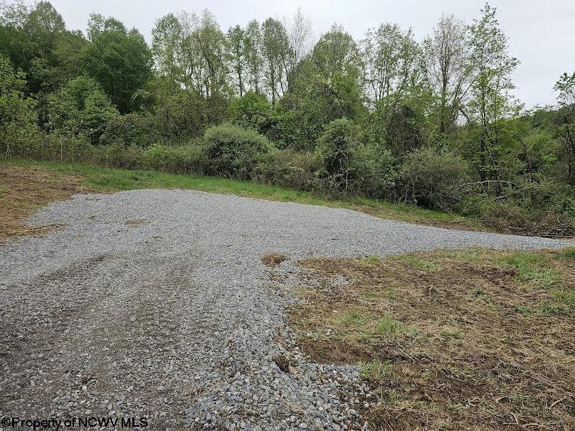 Gallery Image 16
