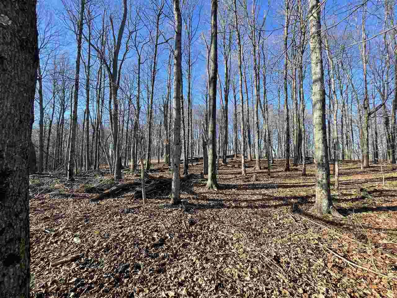 Gallery Image 12