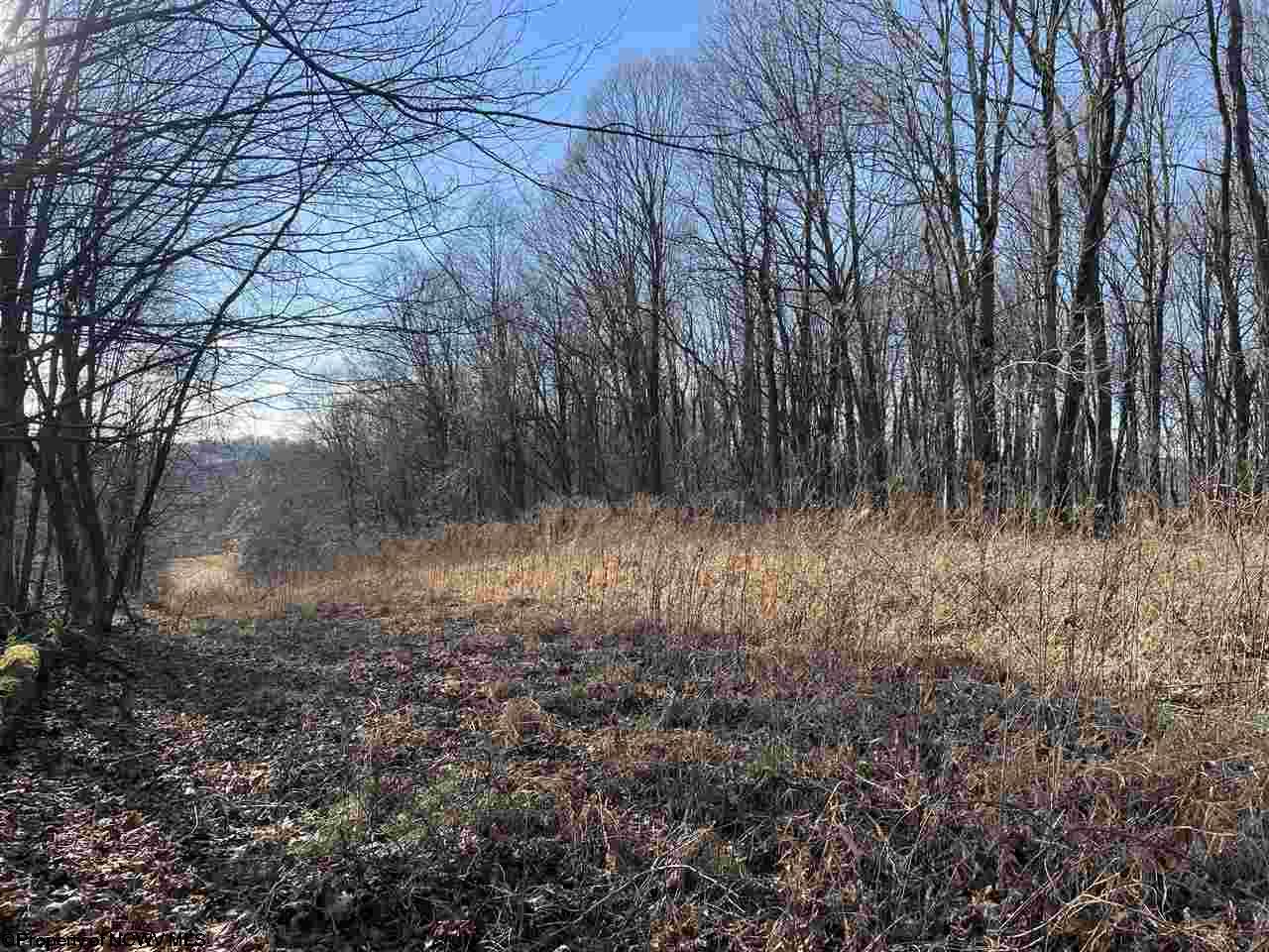 Gallery Image 13