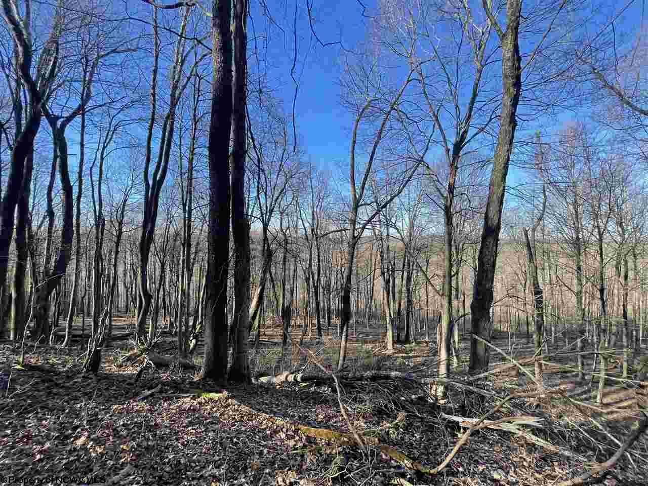 Gallery Image 14